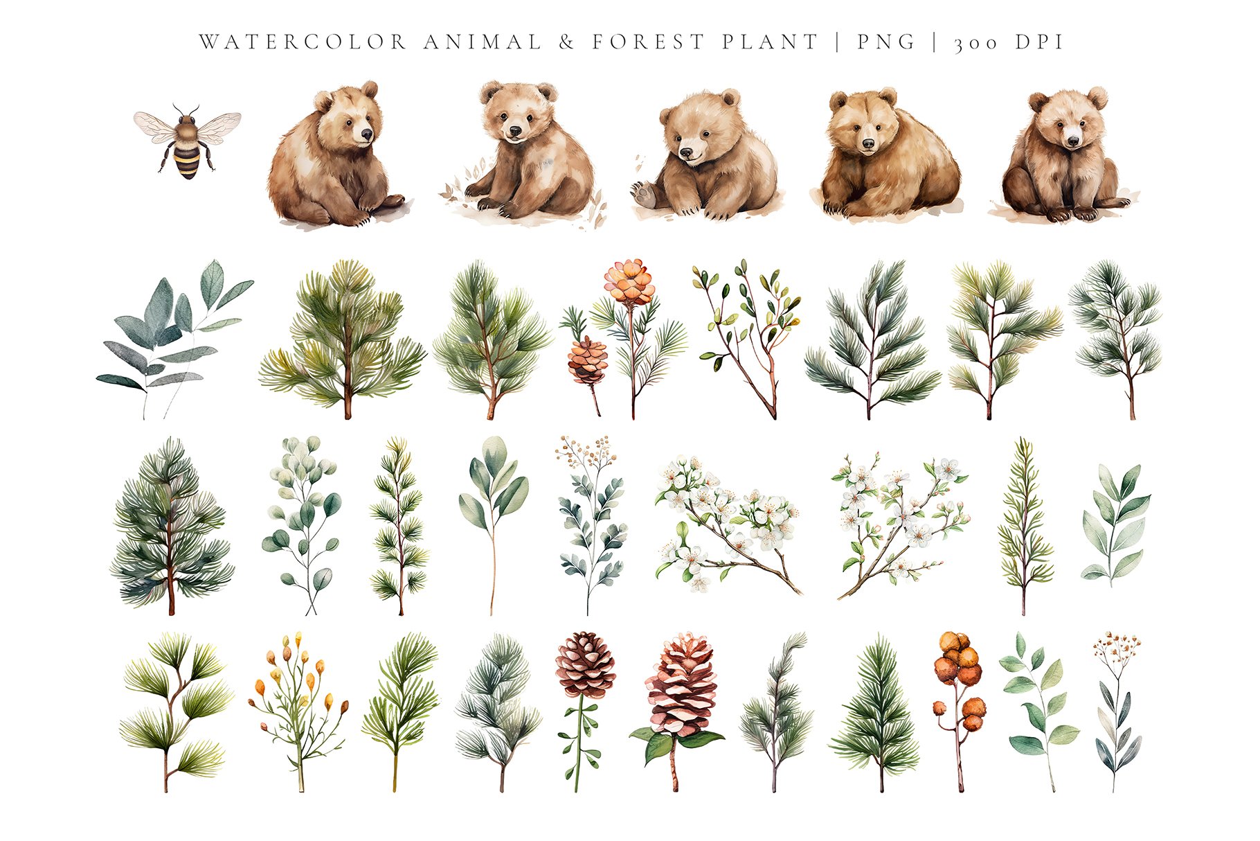 Watercolor Bear In The Forest Nursery Collection - Design Cuts