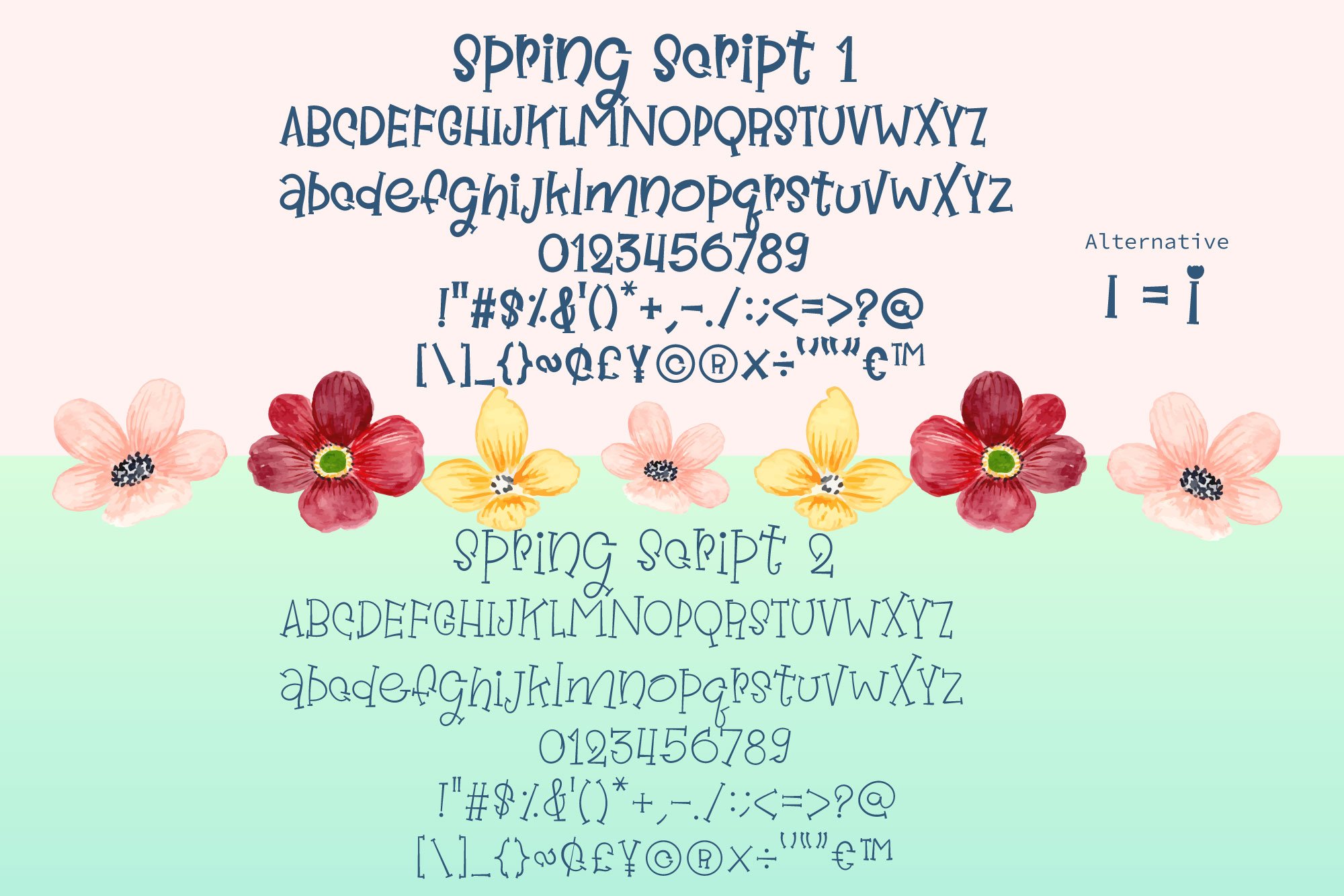 Spring Script Font - Design Cuts