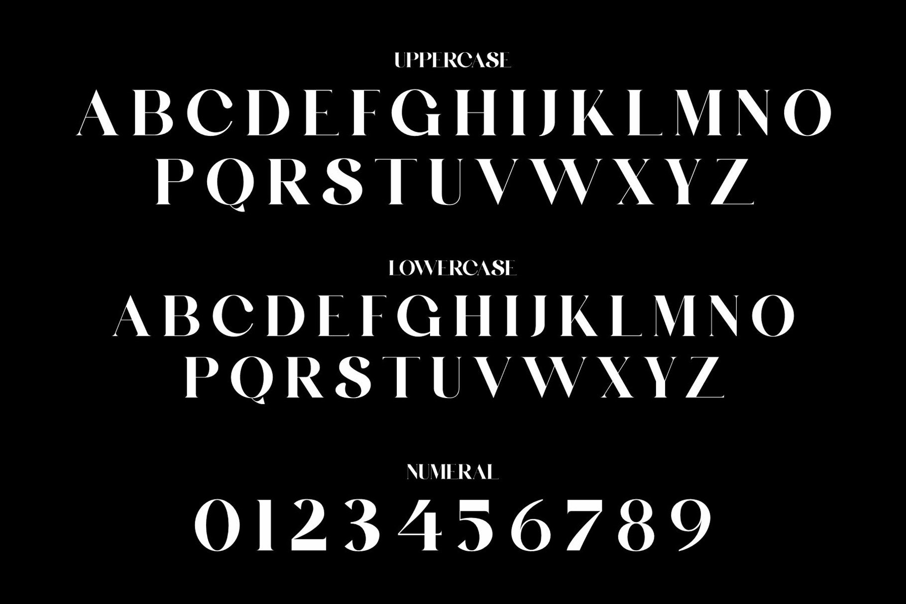 BELINGHAM A Elegant Serif Typeface - Design Cuts