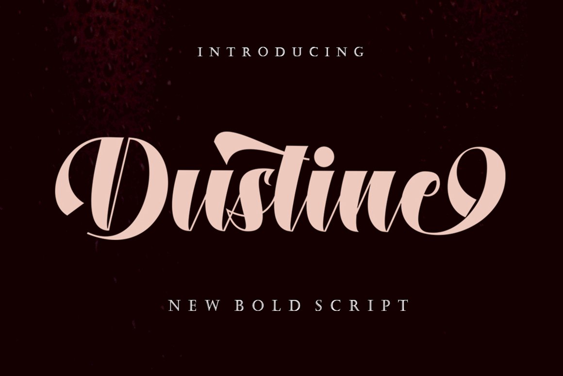 Dustine Script Font - Design Cuts