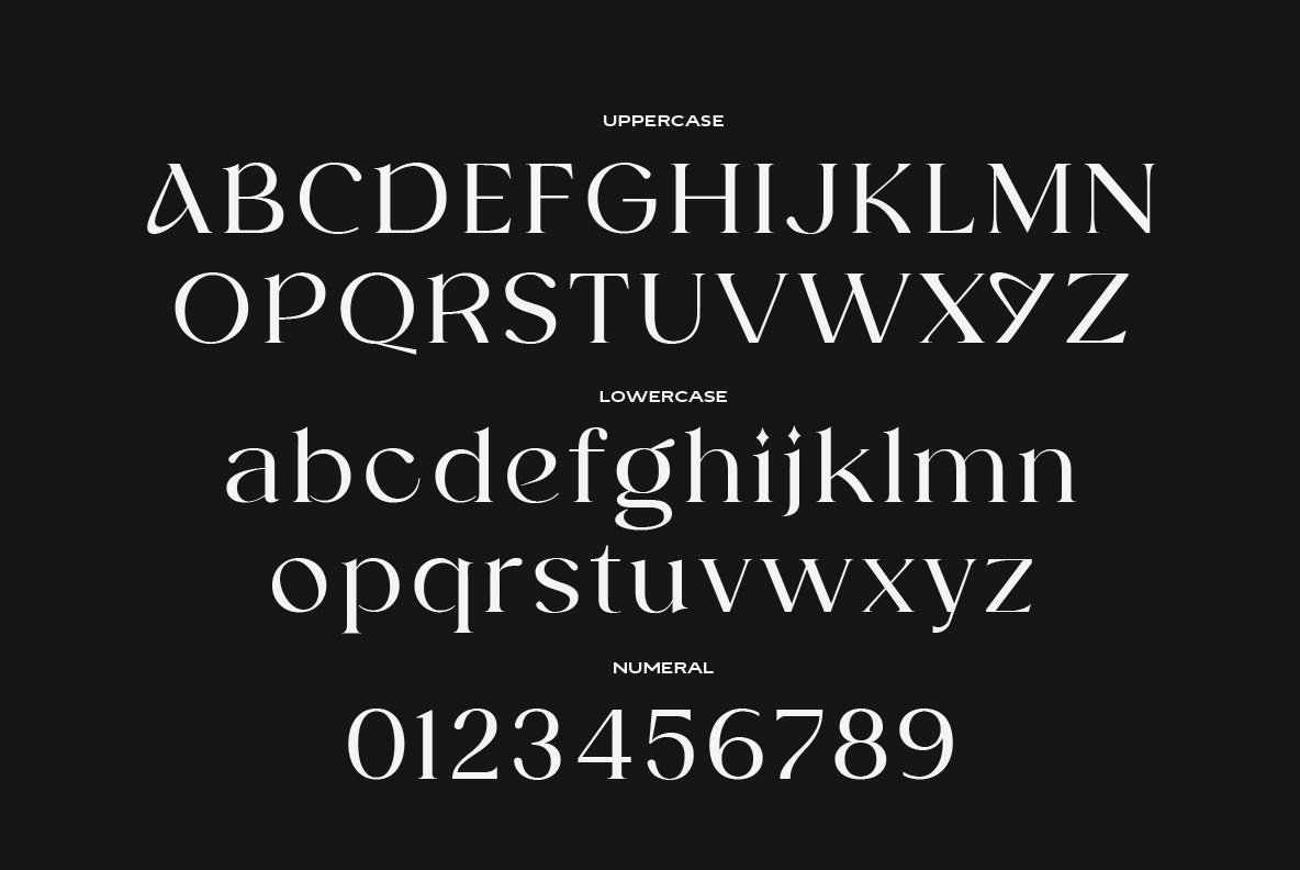 Selvia Genatu Serif Fonts - Design Cuts