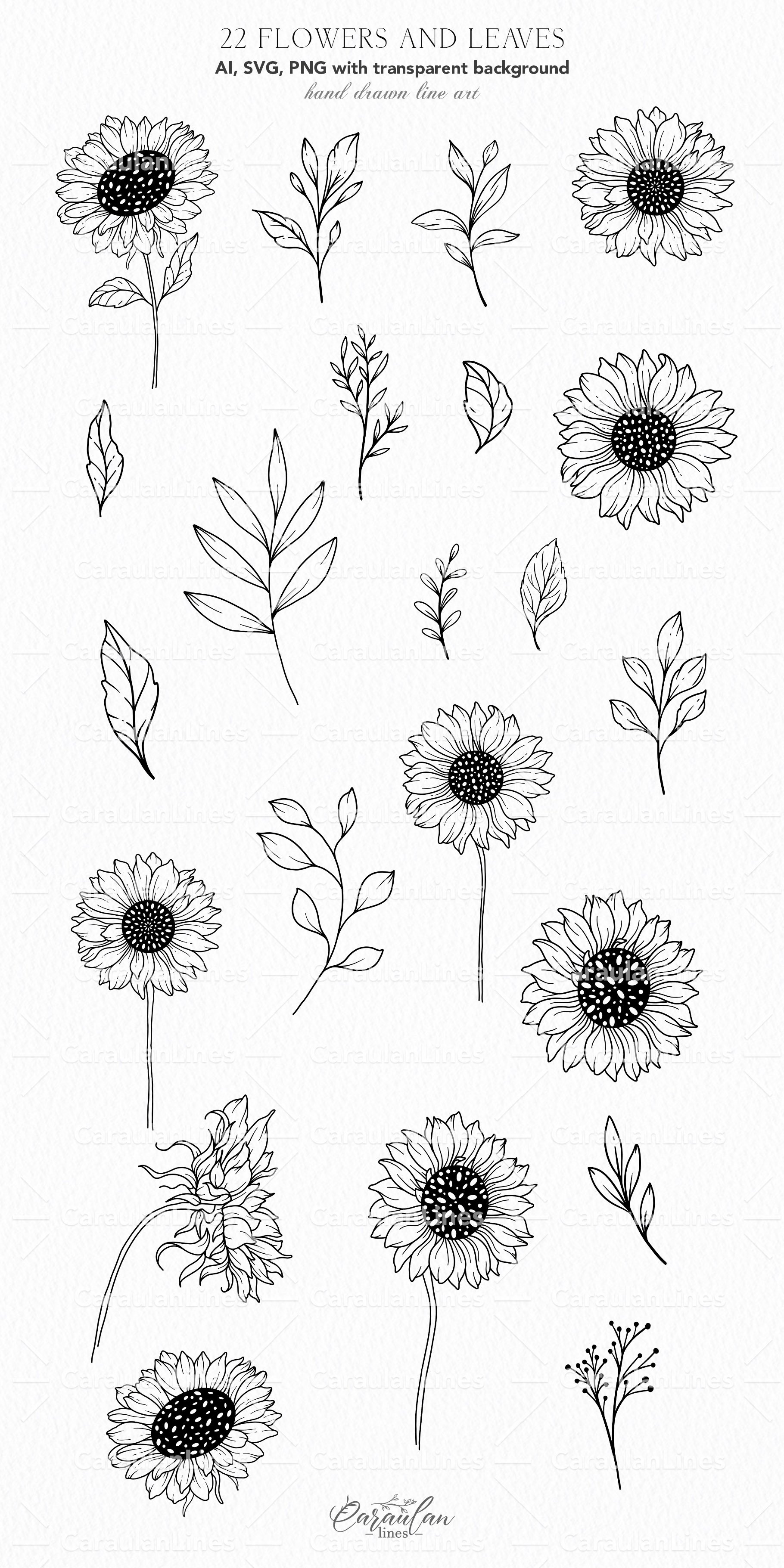 Sunflowers SVG Collection - Design Cuts