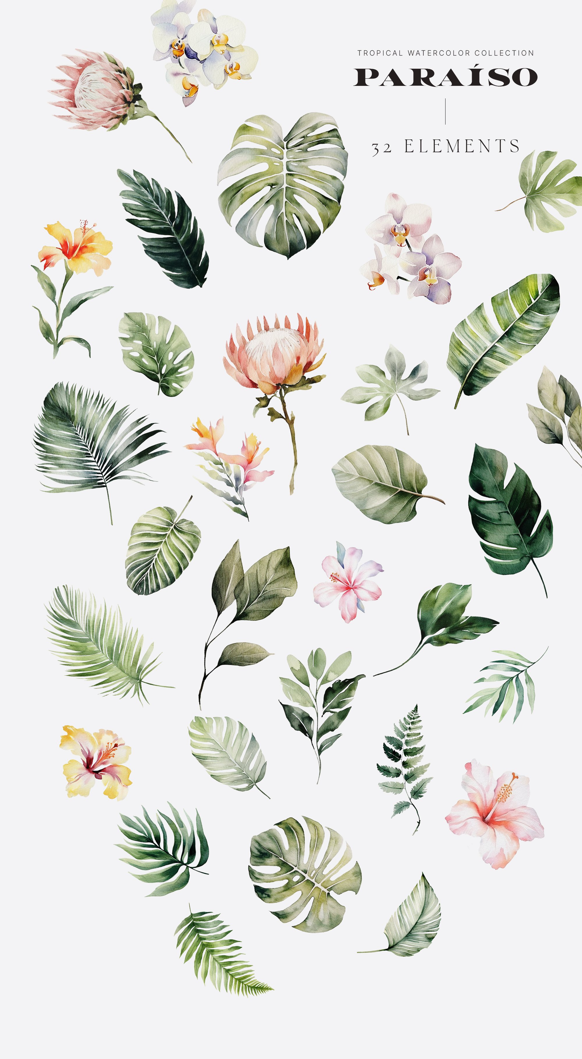 Paraíso - Watercolor Tropical Set - Design Cuts