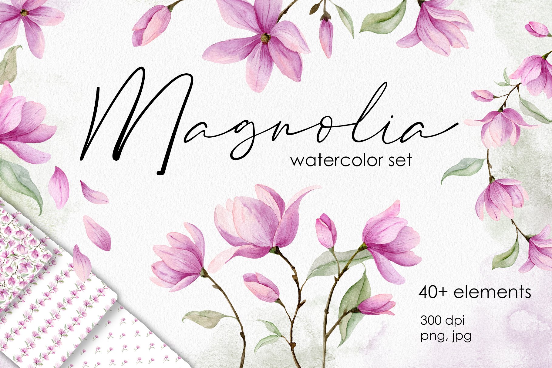 vector magnolia clipart