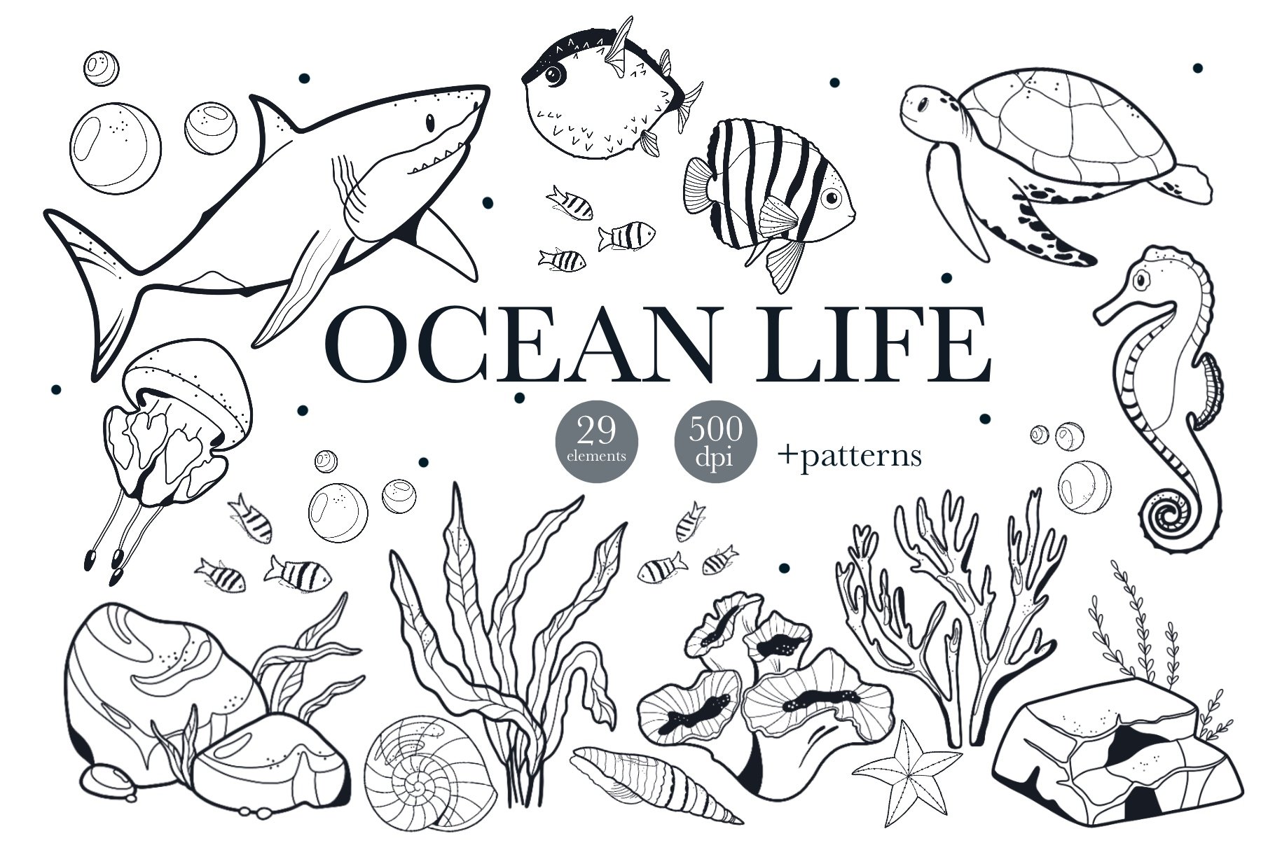 ocean life patterns
