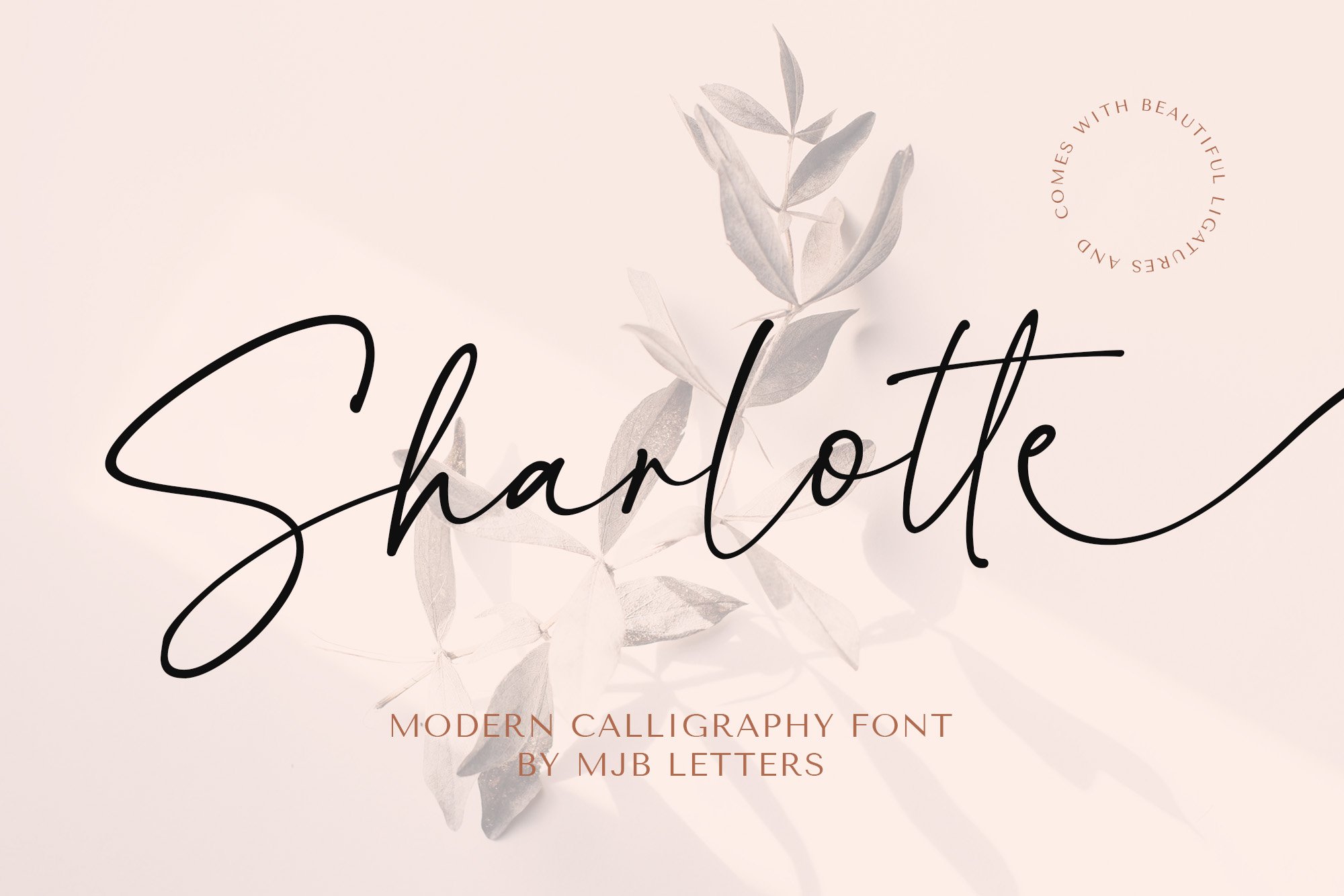 handwritten modern calligraphy font