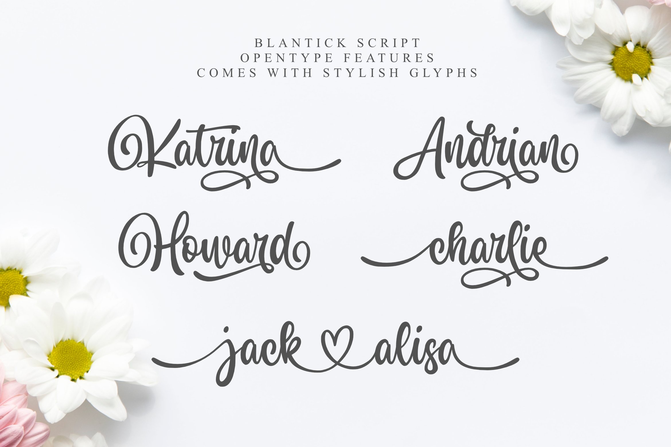 Blantick Script Handwriting - Design Cuts