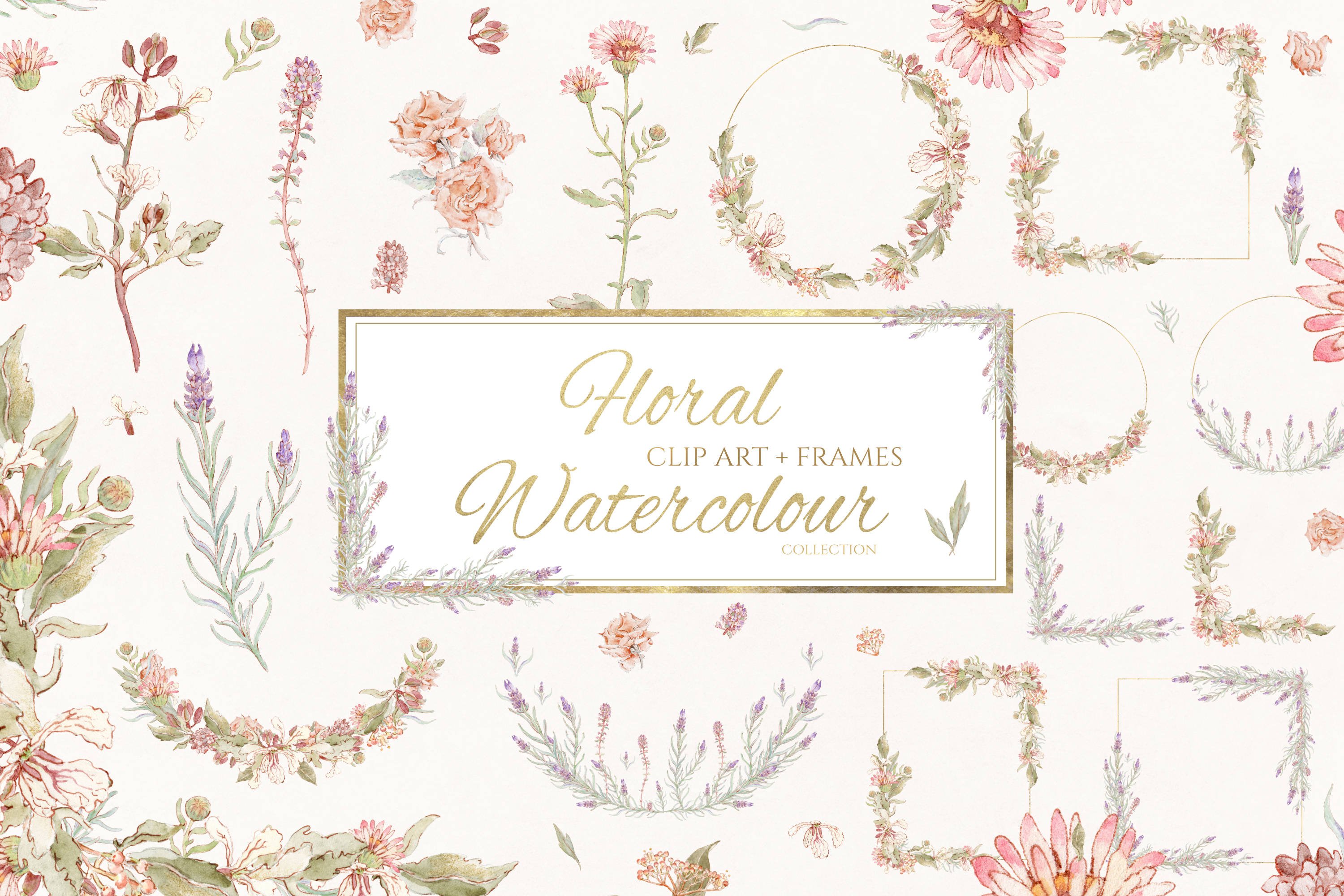 Floral Watercolour Clip Art & Frames - Design Cuts