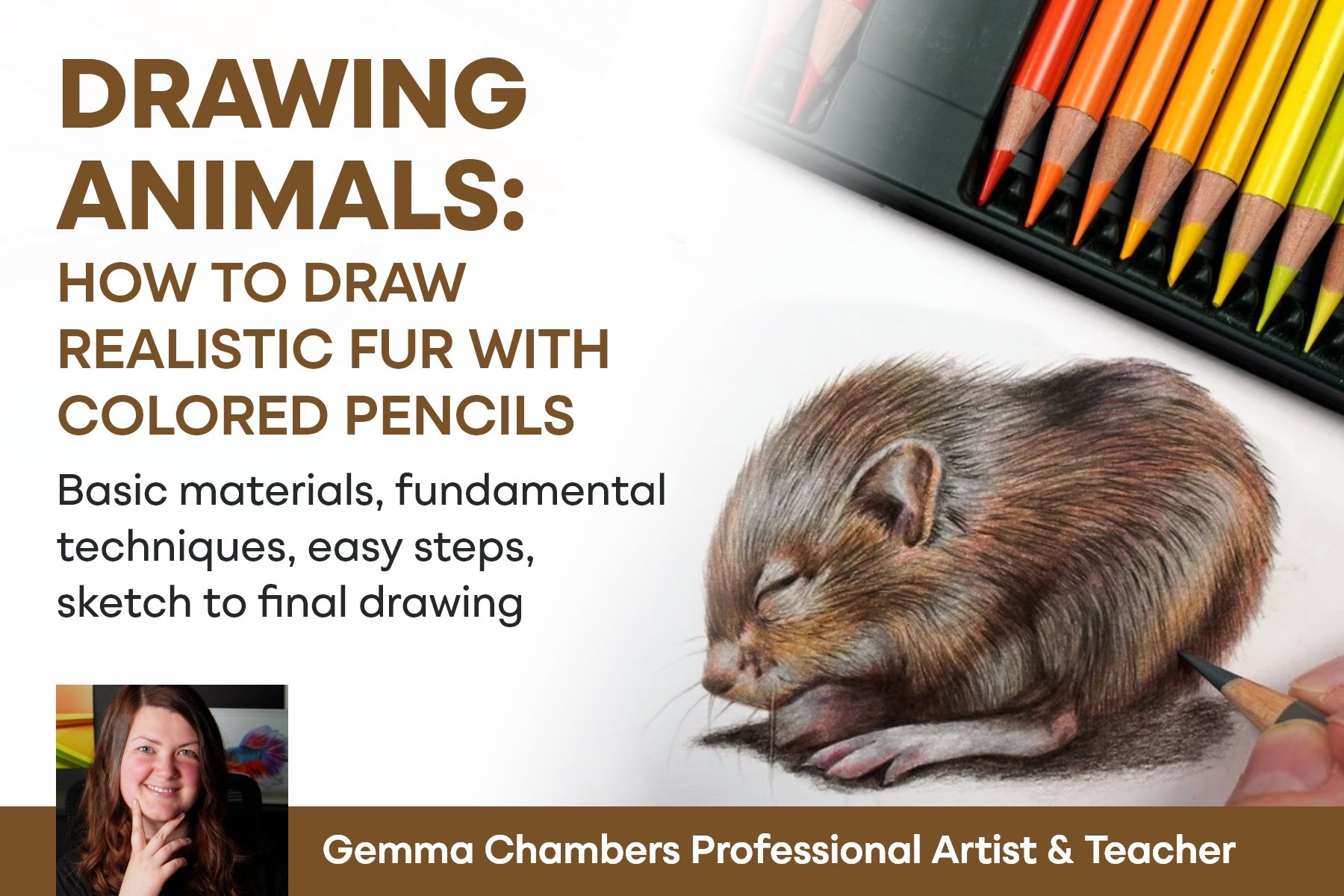 Drawing Animals: How to Draw Realistic Fur with Colored Pencils