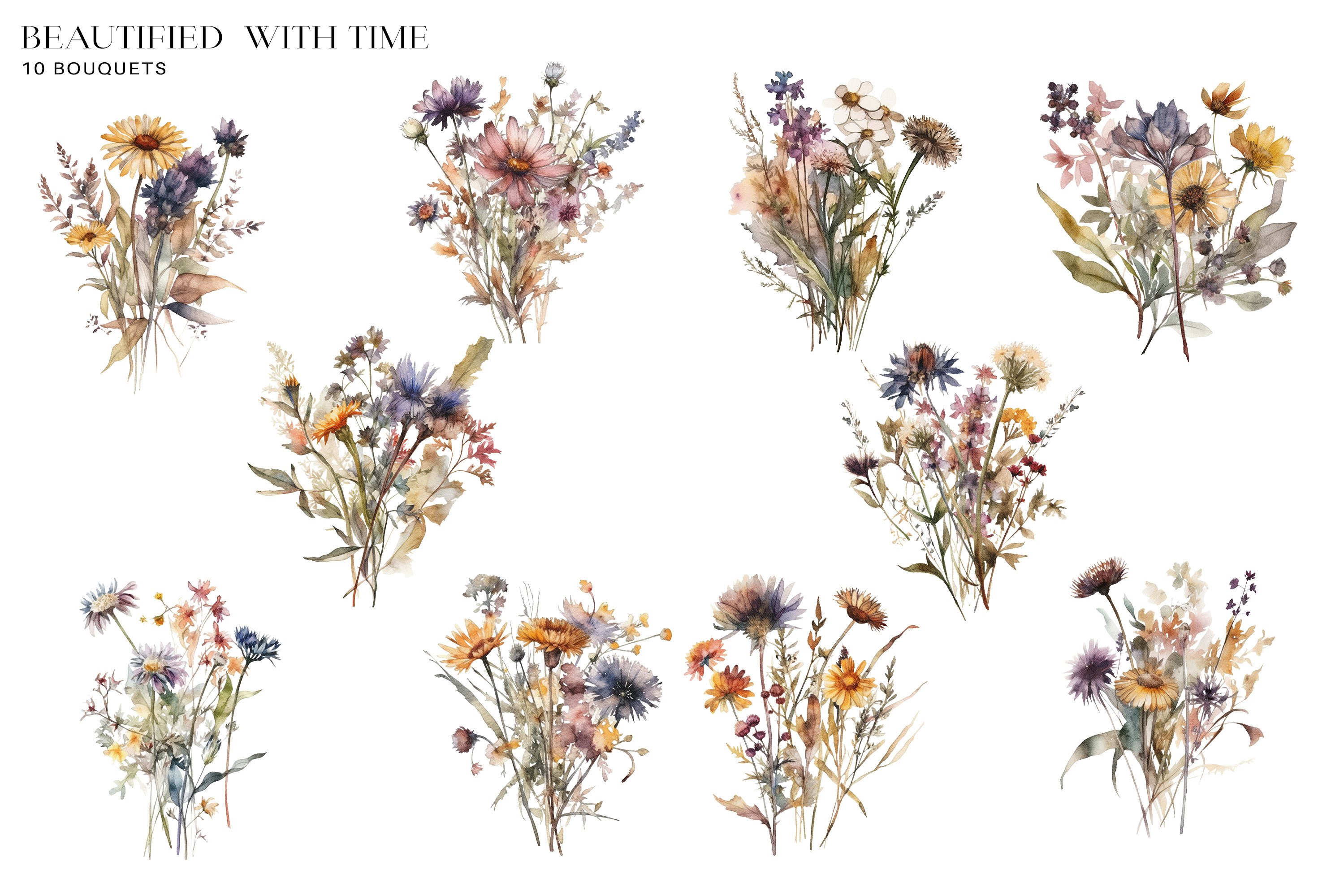 Watercolor Dried Wildflowers Collection