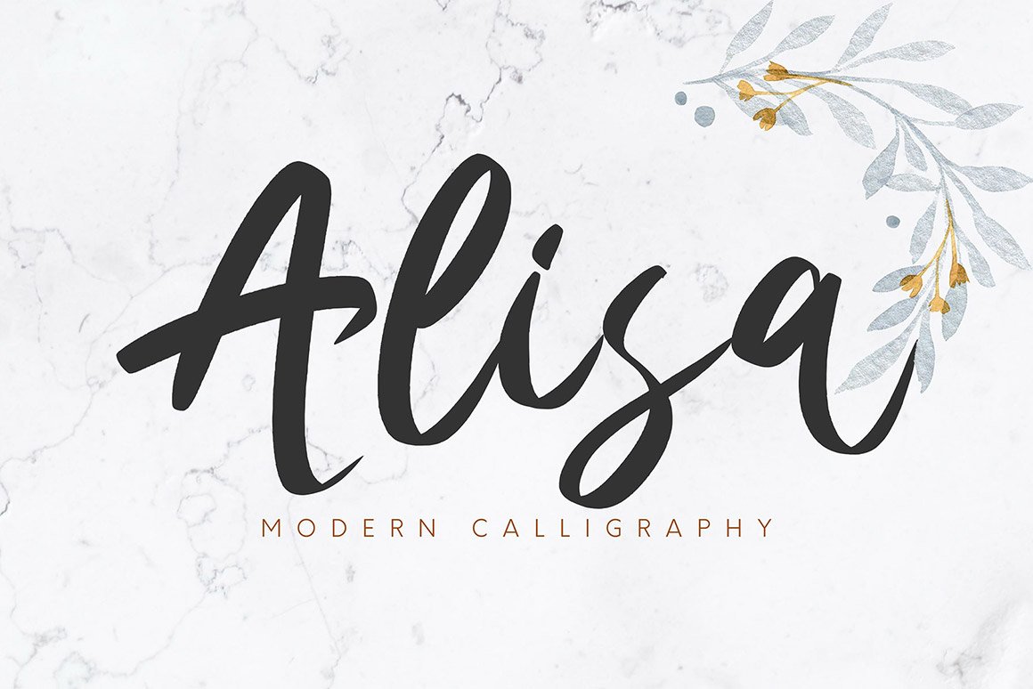 New Alisa Logo Detail Hoodie