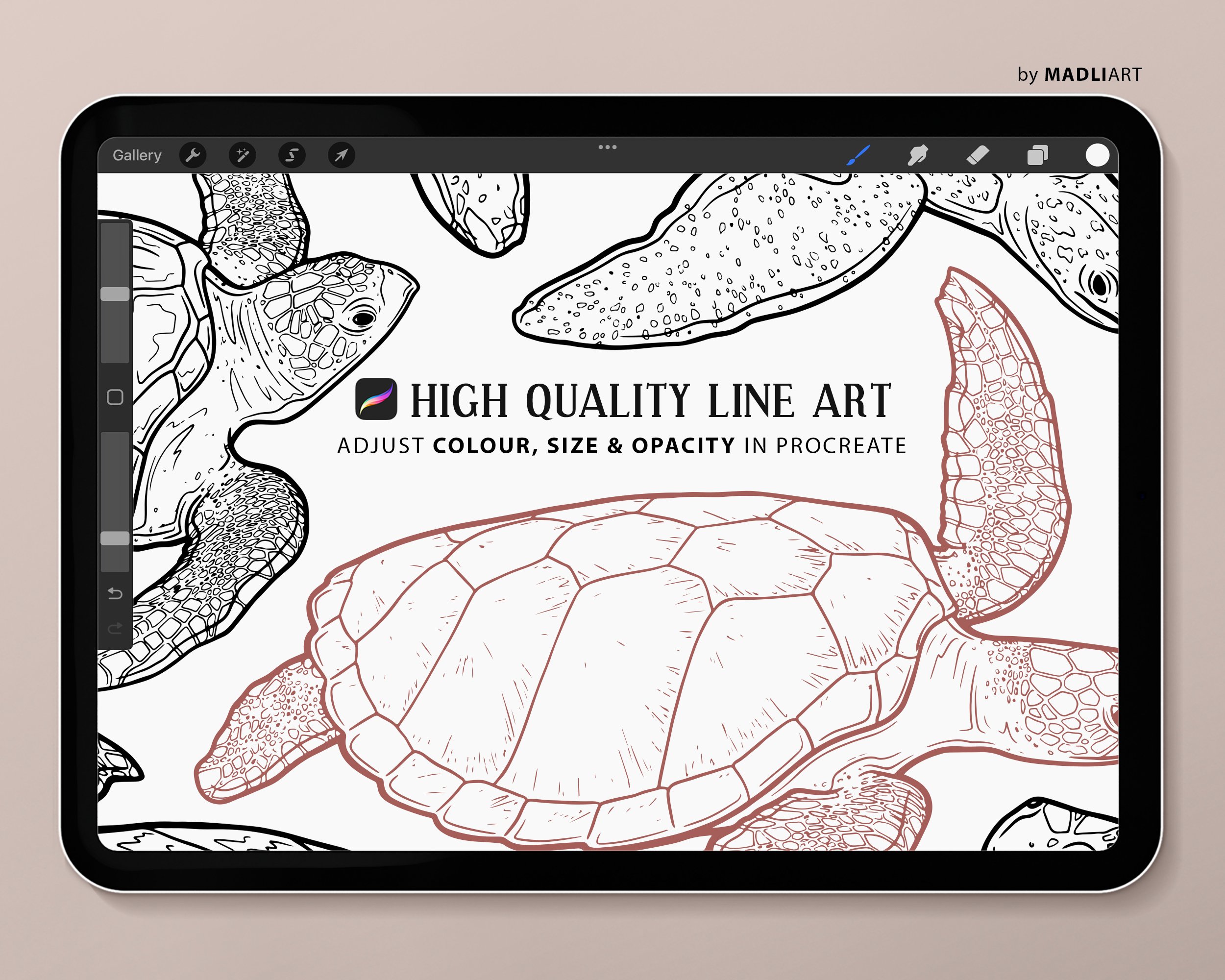 6 Tortoise Procreate Brush Stamps. Land Turtle Tattoo Art