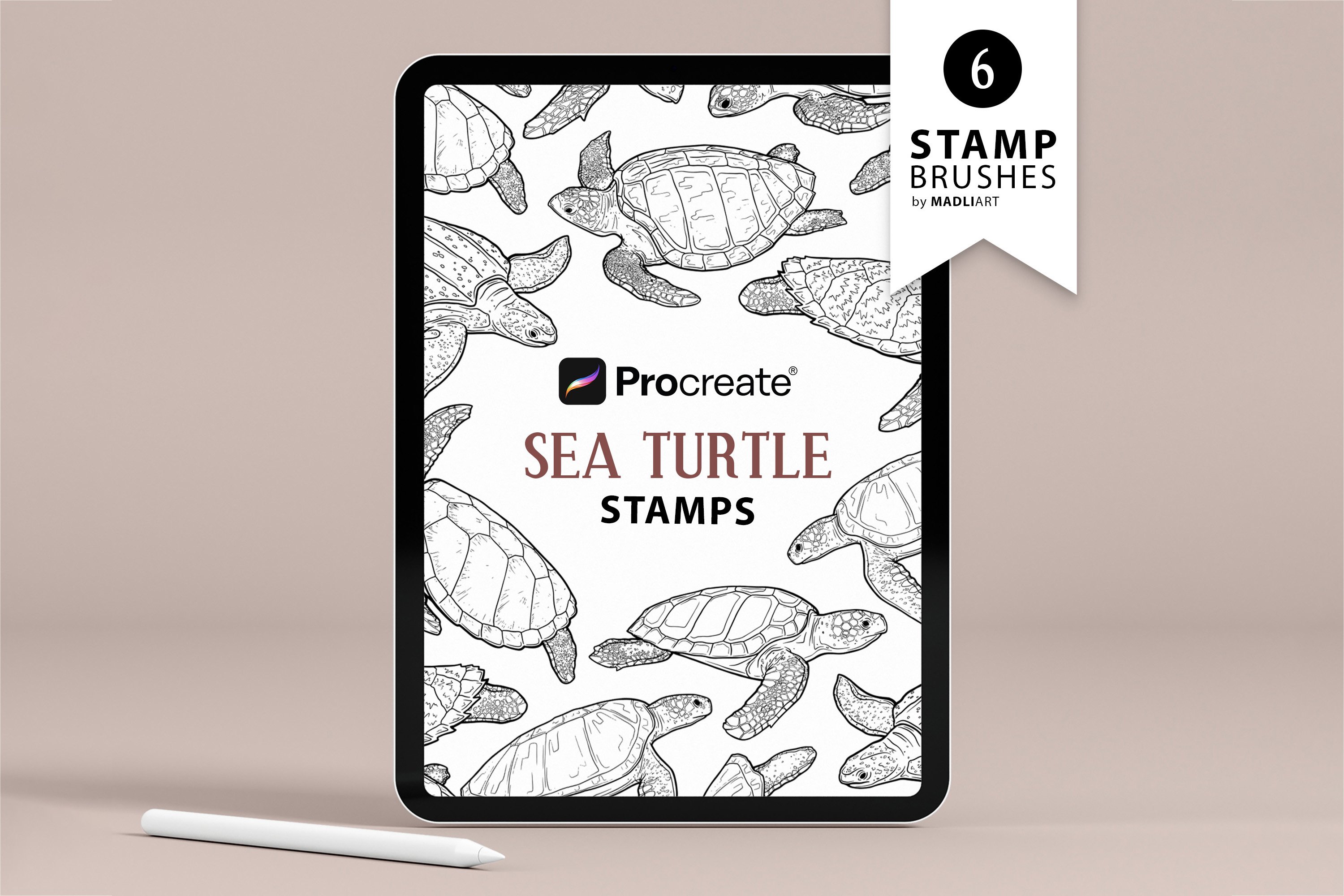 Cute Turtle Procreate Stamp Brush Set Graphic by HalieKStudio · Creative  Fabrica