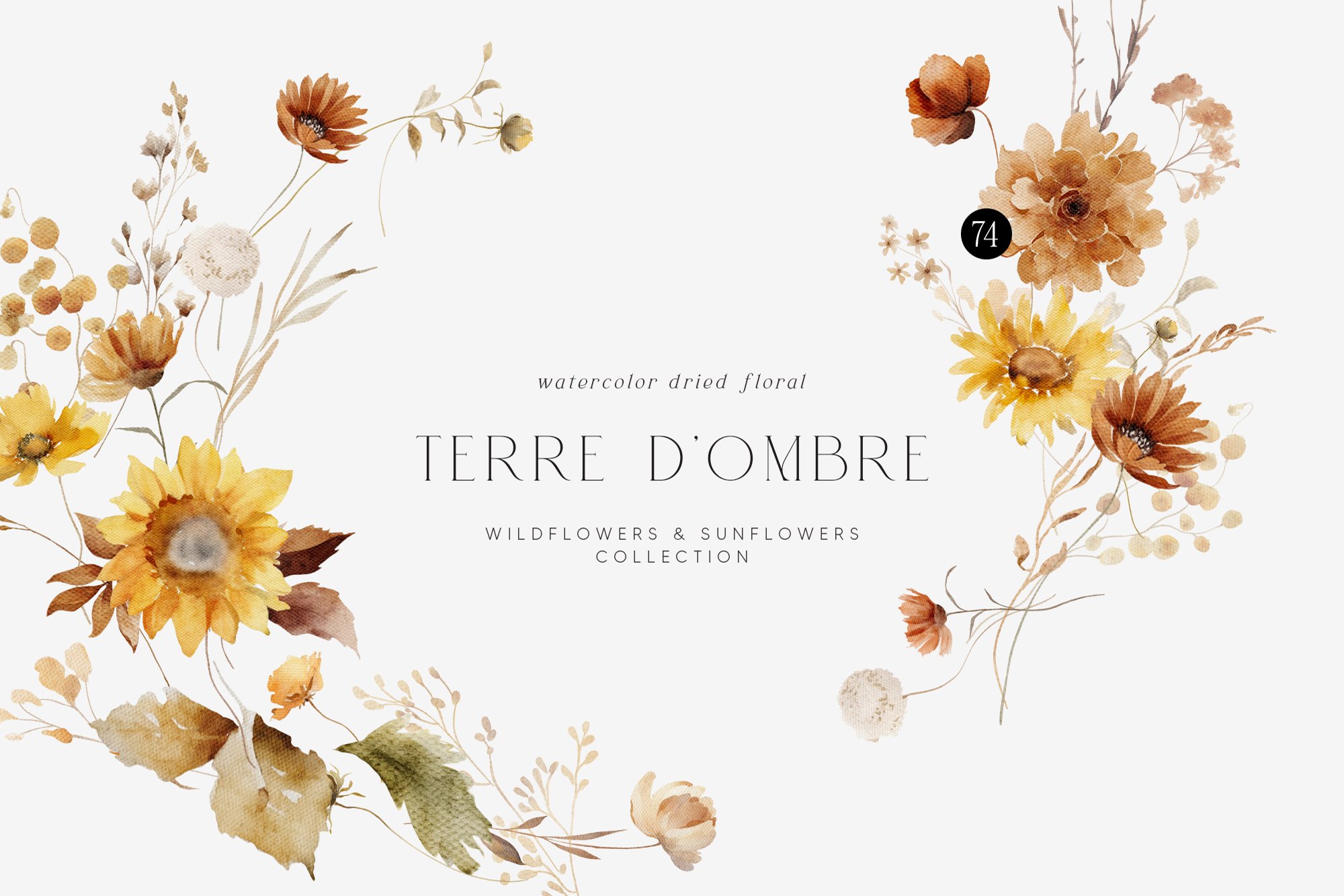 TERRE D'OMBRE Autumn Wildflowers Collection - Design Cuts