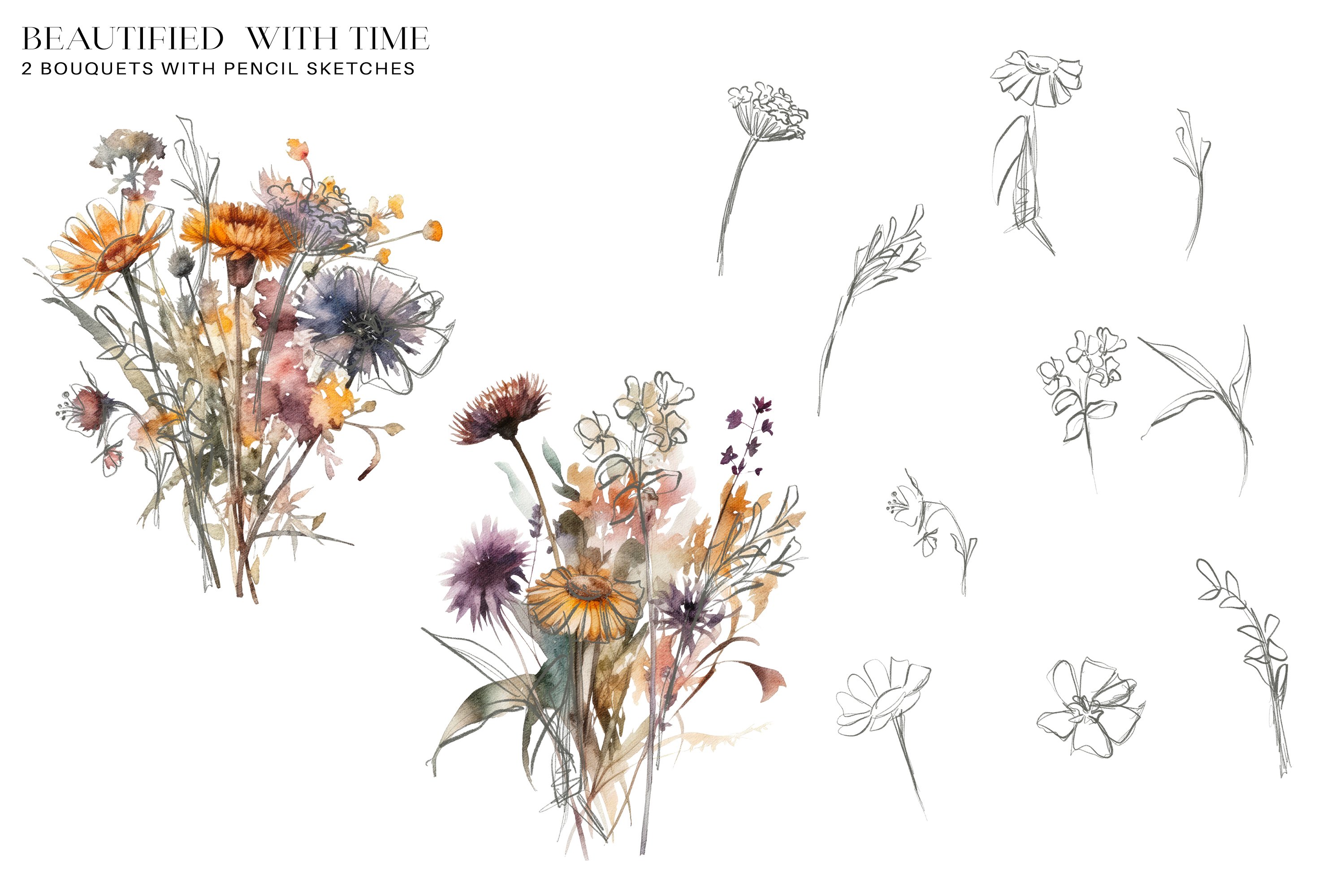 Watercolor Dried Wildflowers Clipart Collection - Design Cuts