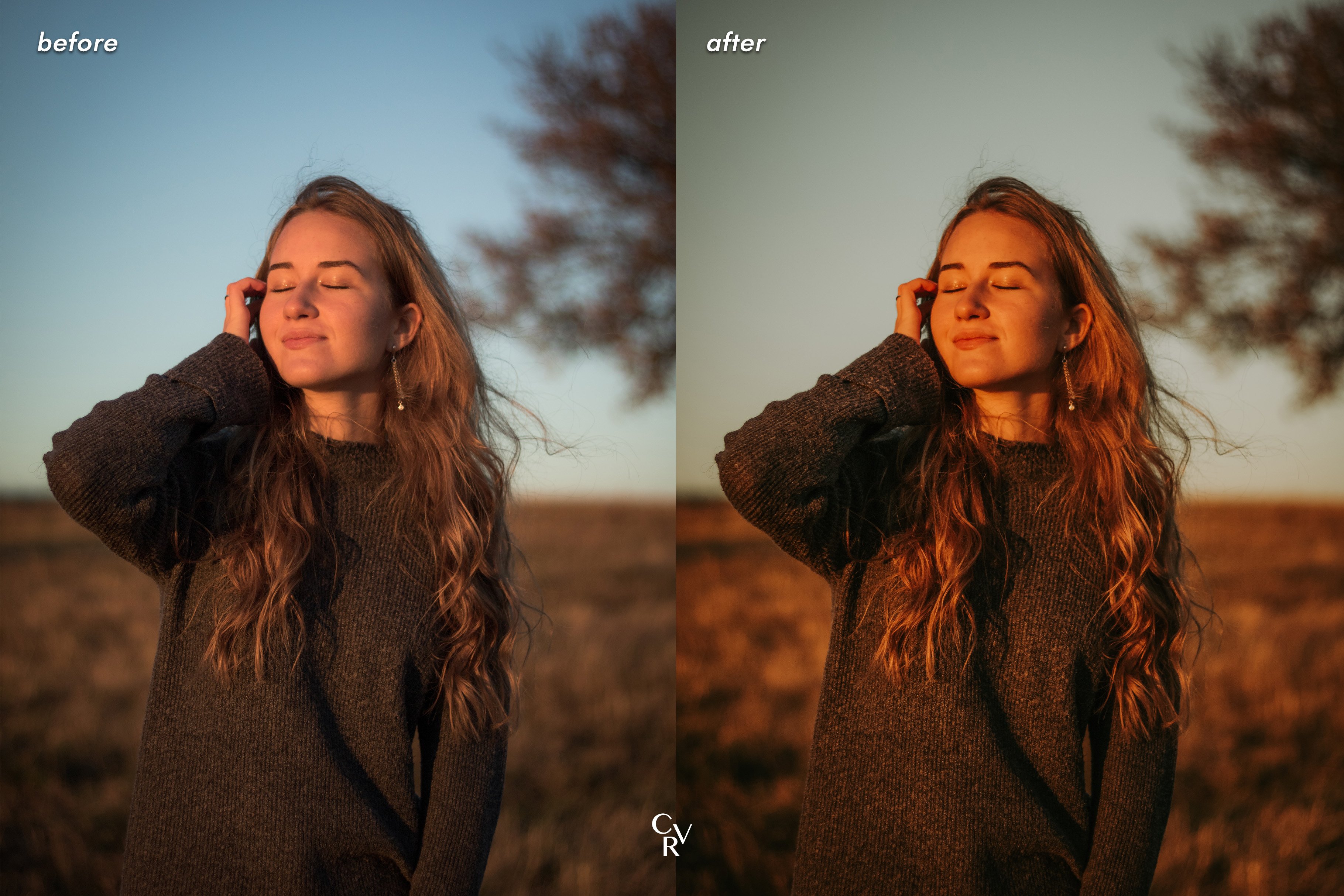 10 Sunkissed Lightroom Presets - Design Cuts