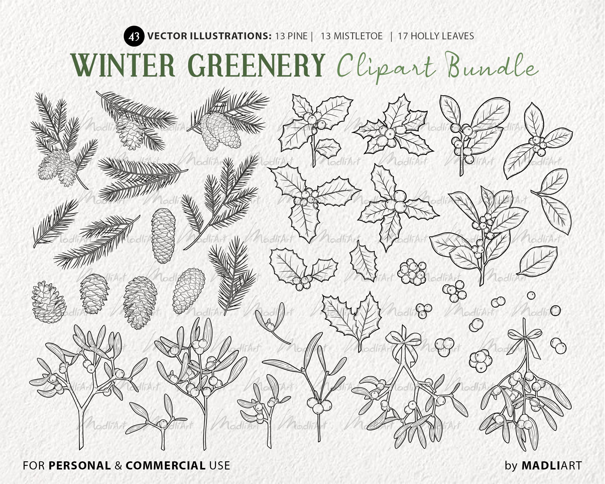 Winter Greenery Image Kit