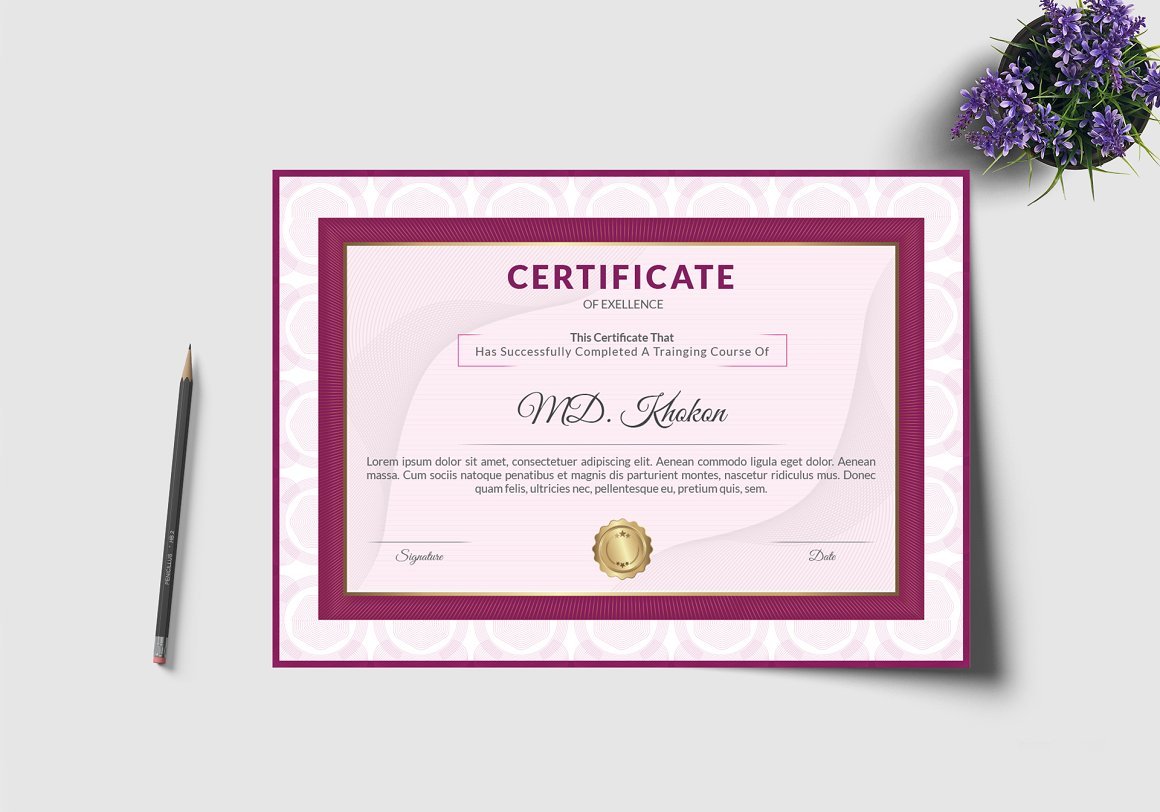 Luxury Certificate Template V-41 - Design Cuts