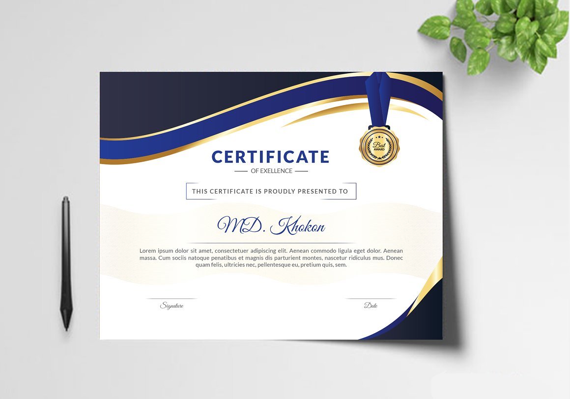 Professional Diploma Certificate 2 - Design Cuts