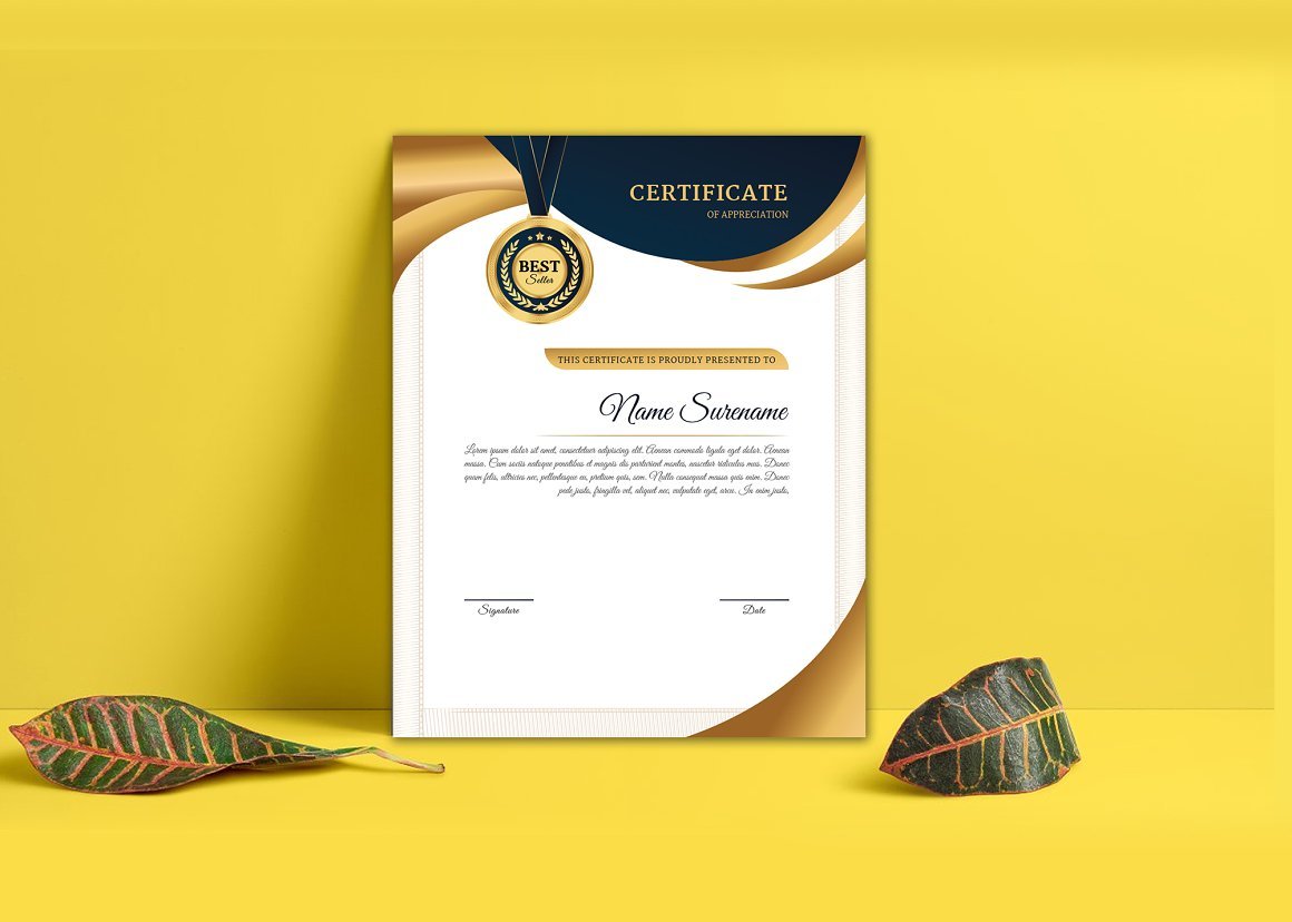 Simple Certificate Design Template - Design Cuts