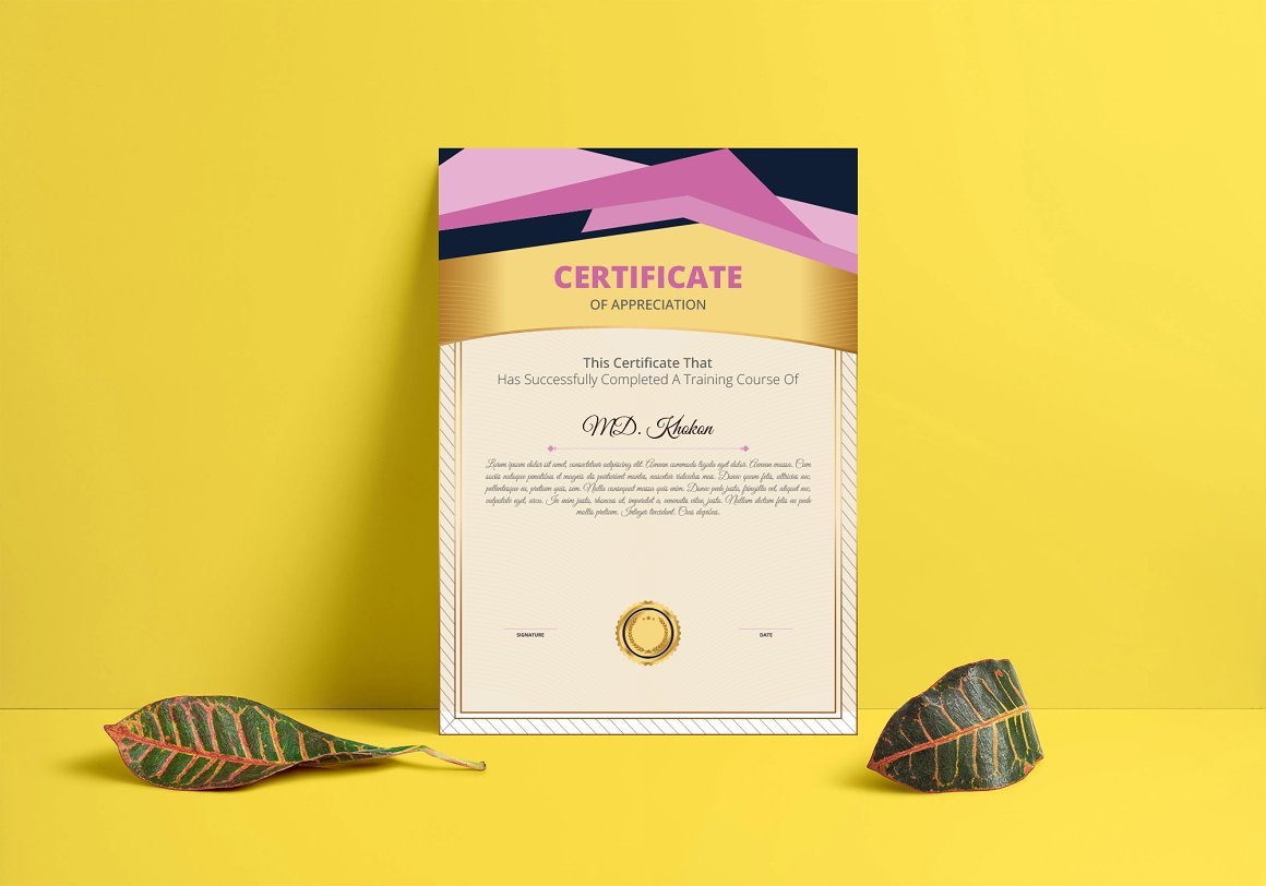 Multipurpose Certificate Template - Design Cuts