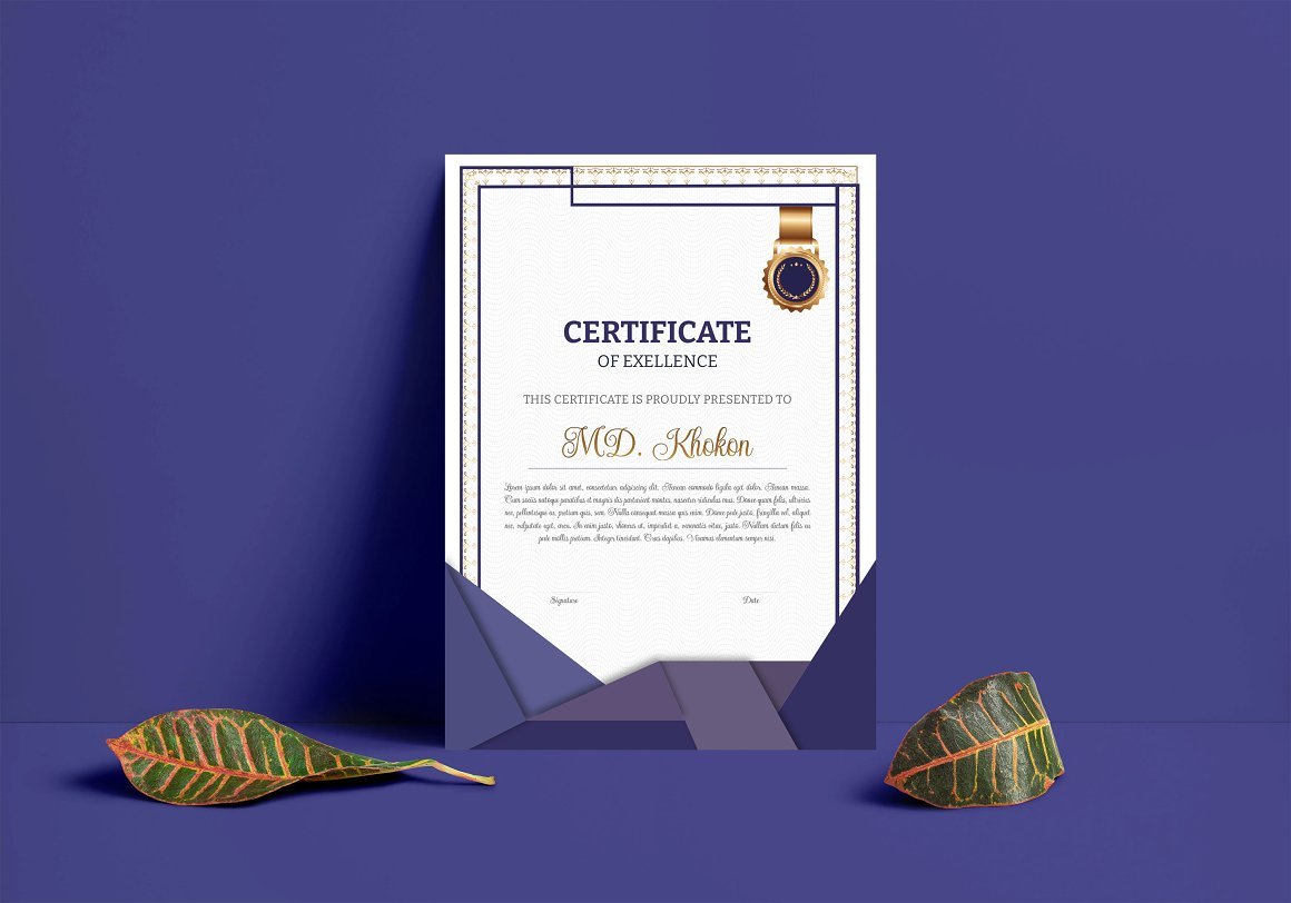 Luxury Certificate Template - Design Cuts