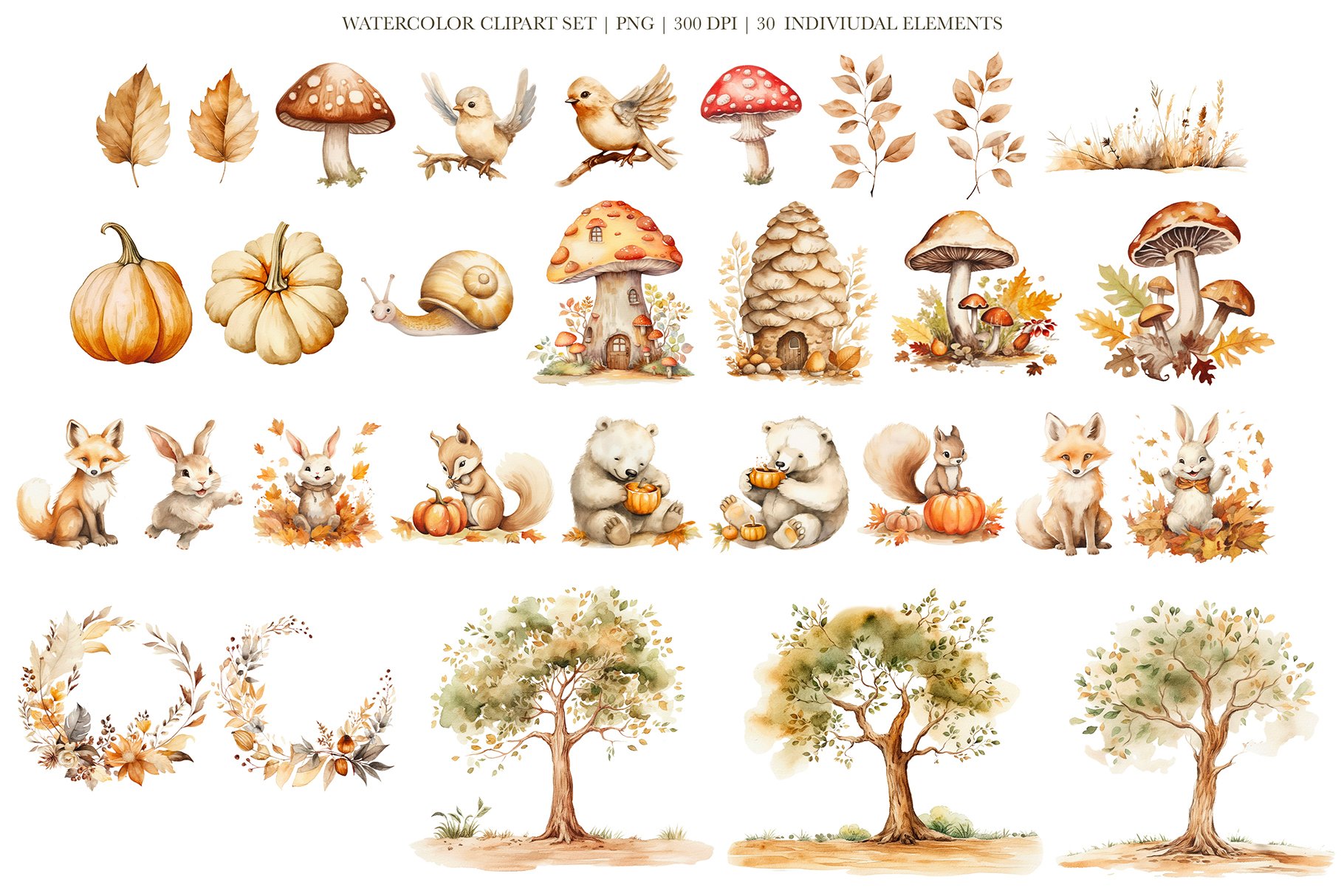 Autumn Woodland Animals Collection - Design Cuts