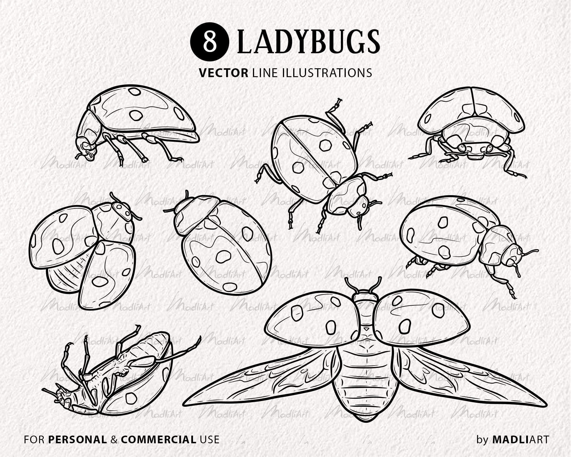 Ladybug SVG & Png File Lady Bug Clip Art Vector Image SVG 