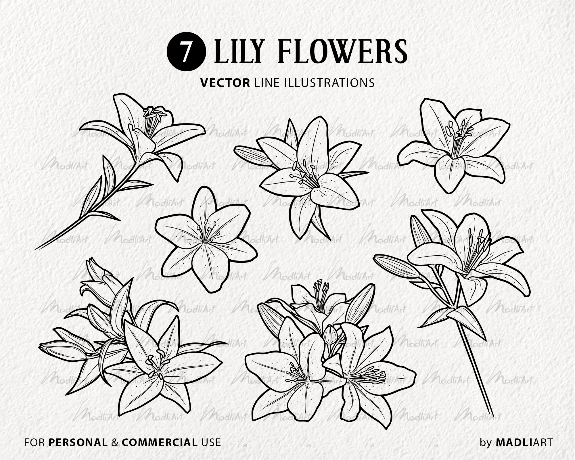 Lily Flower Vector Clipart Set 