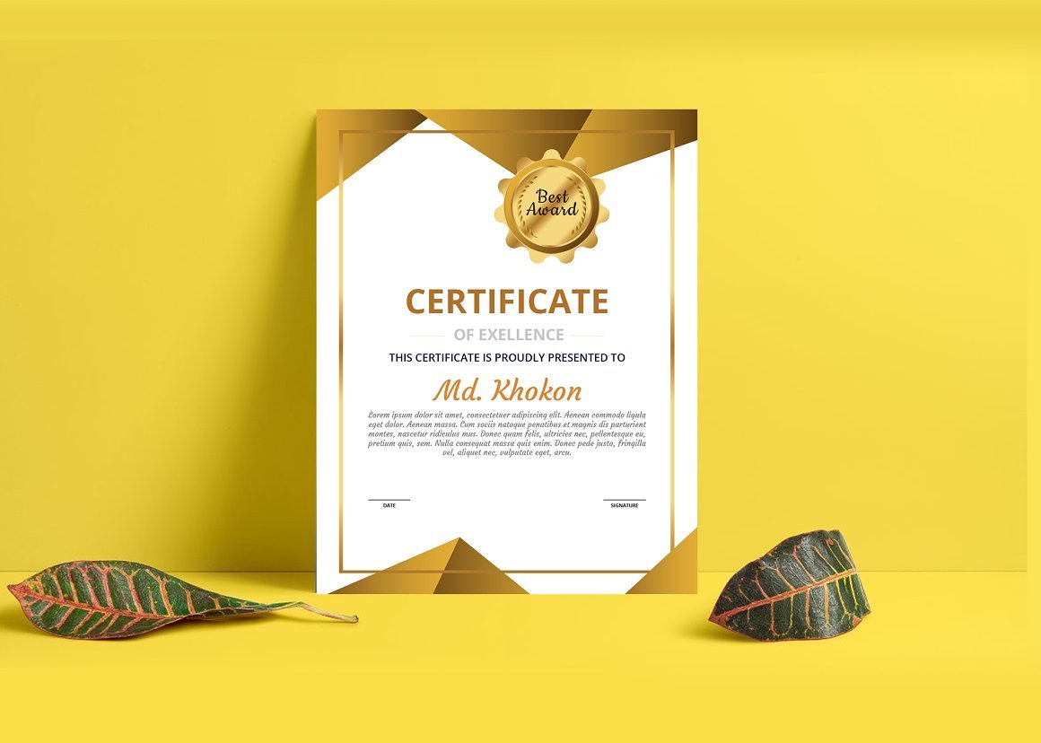 Professional Certificate Design - Design Cuts