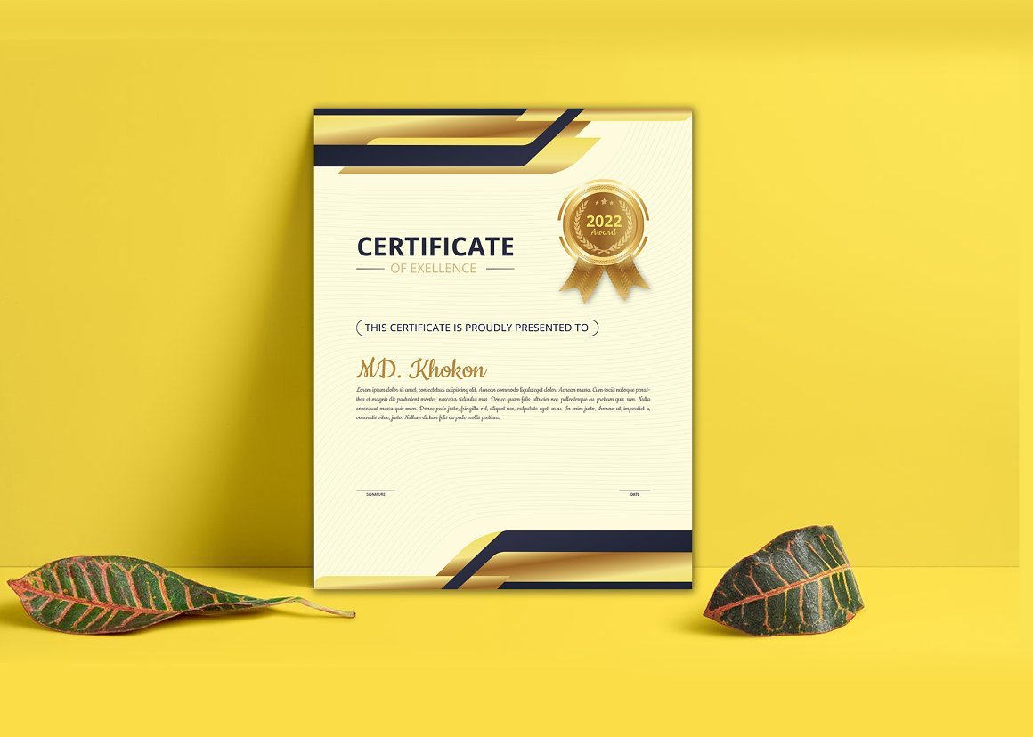 Modern Certificate Design Template V-01 - Design Cuts