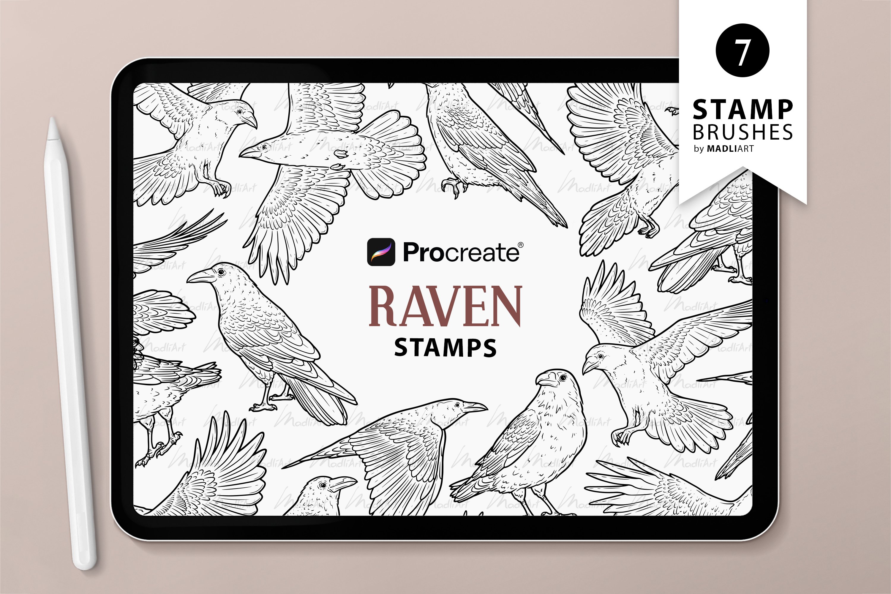 Raven Procreate Stamps Crow Bird Line Art