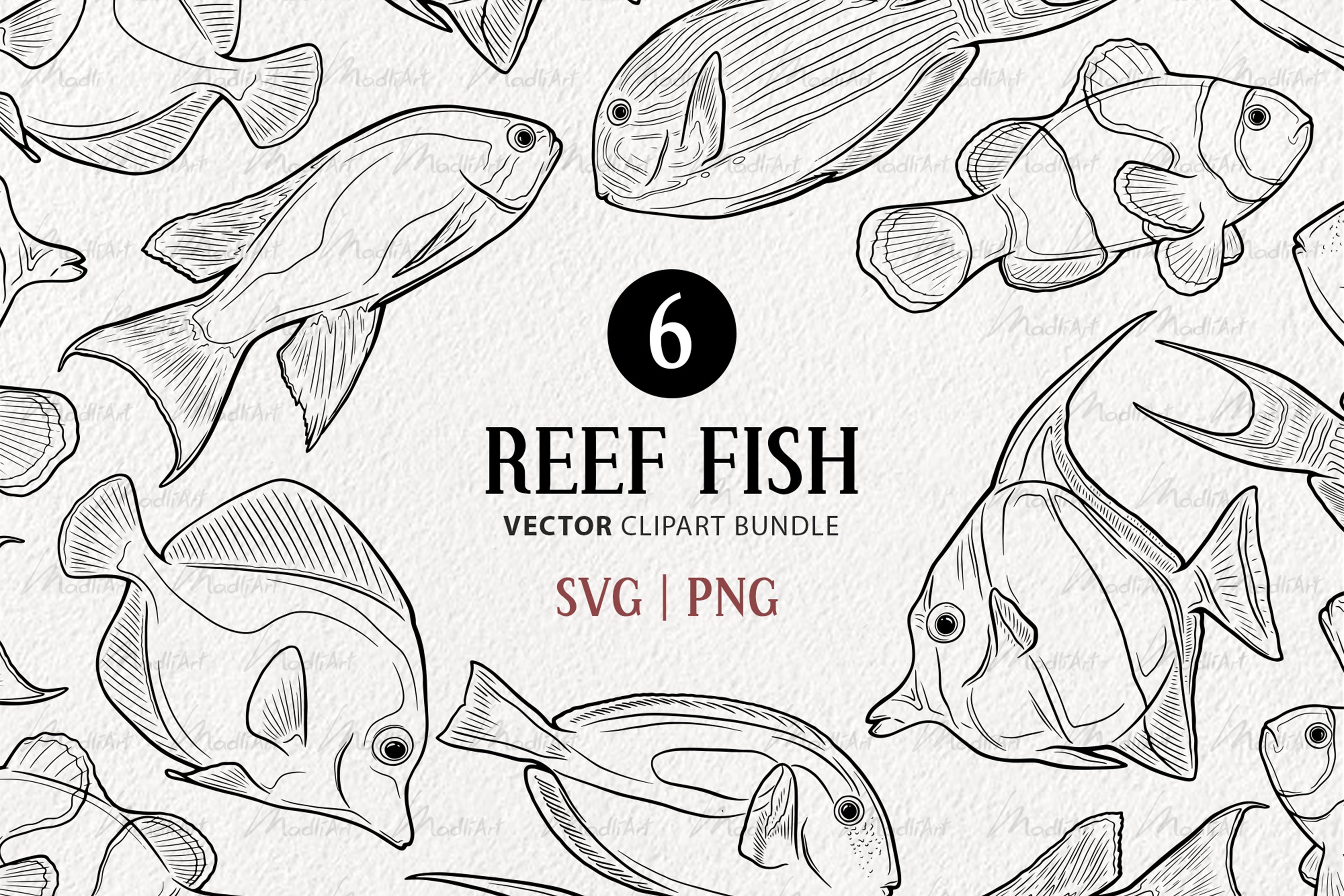 Reef Fish Vector Clipart Set  Tropical Fish SVG - Design Cuts