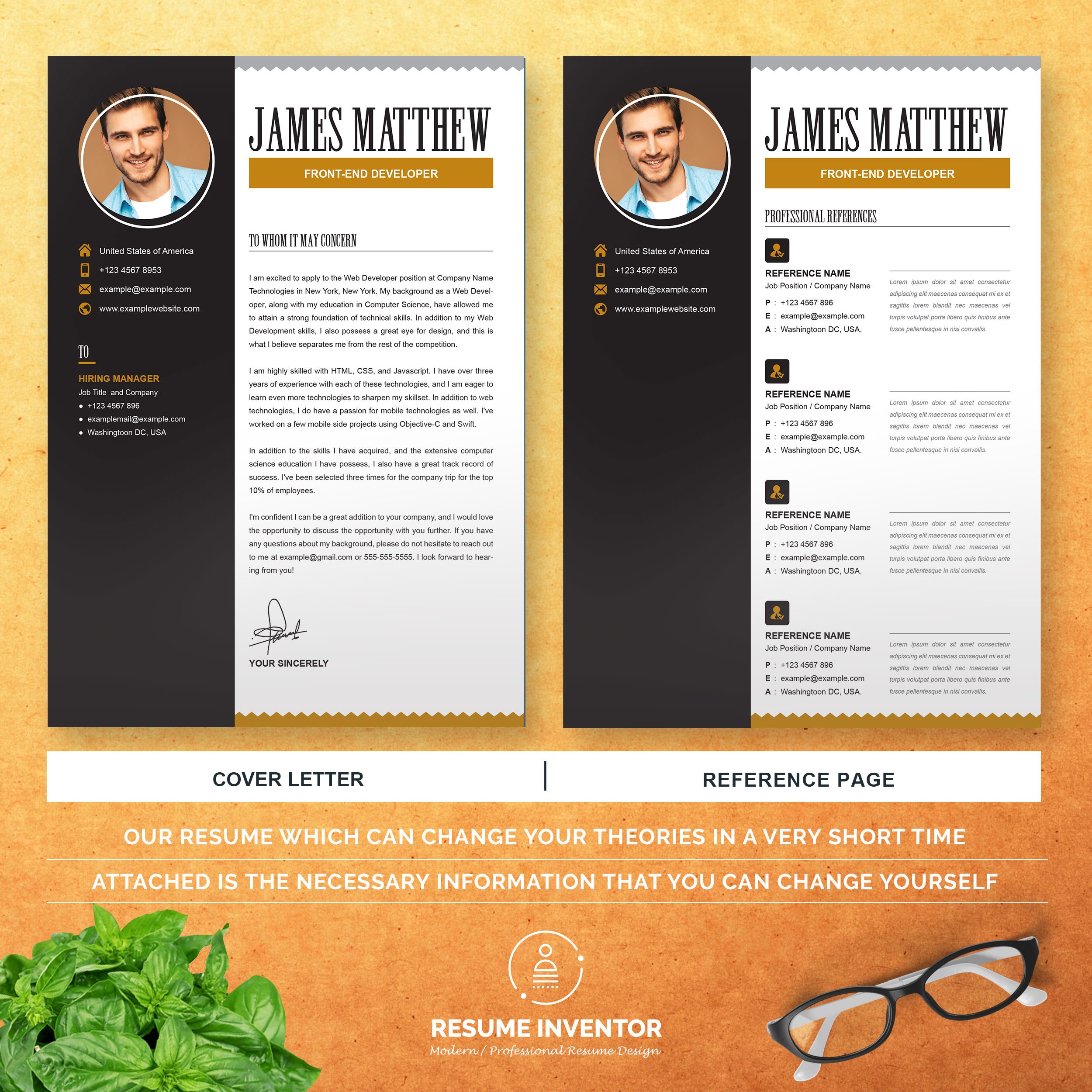 Software Engineer Resume Template Design Cuts 4578