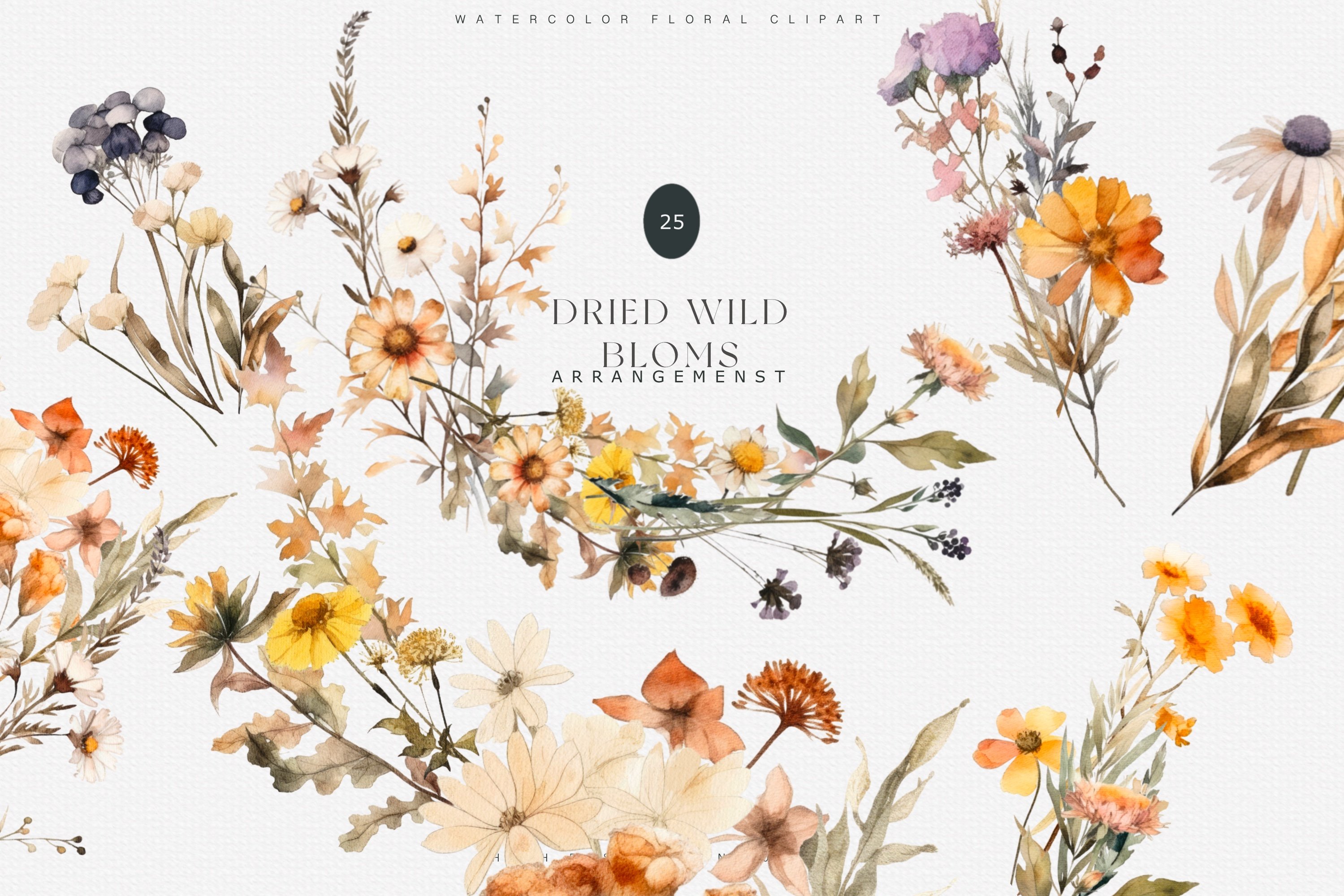 Dried Meadow Flowers Clipart Collection - Design Cuts