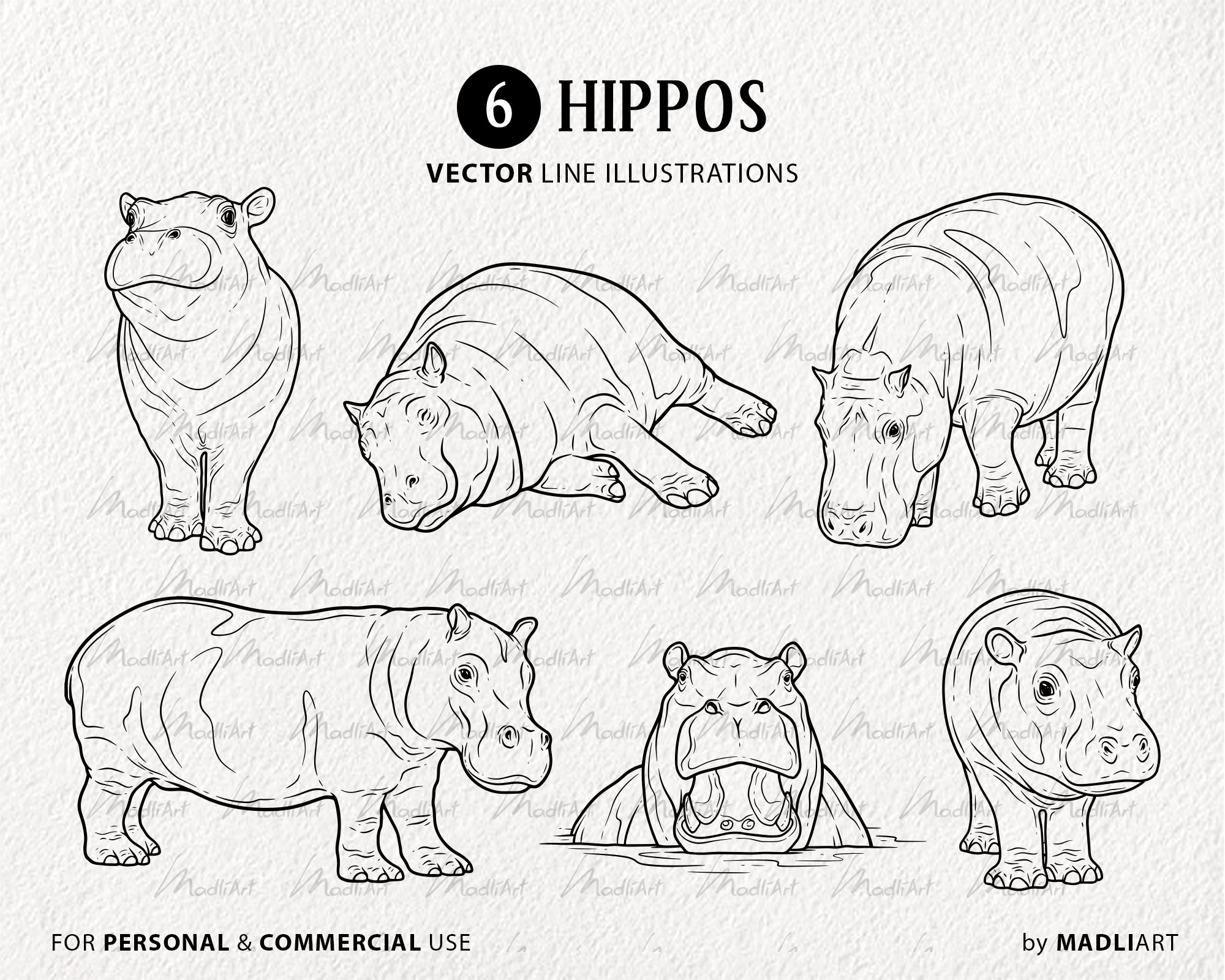 Hippo Vector Clipart Set | Hippopotamus Line Art - Design Cuts