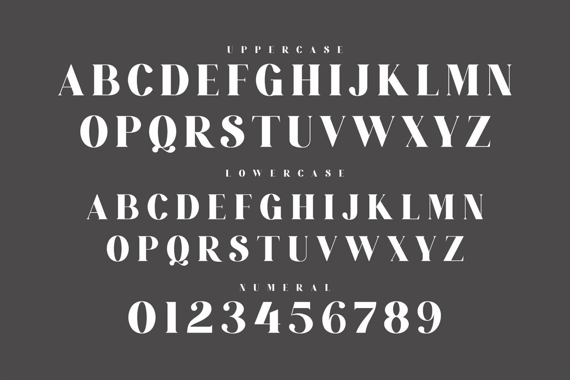 ROMANS Modern Serif Font - Design Cuts