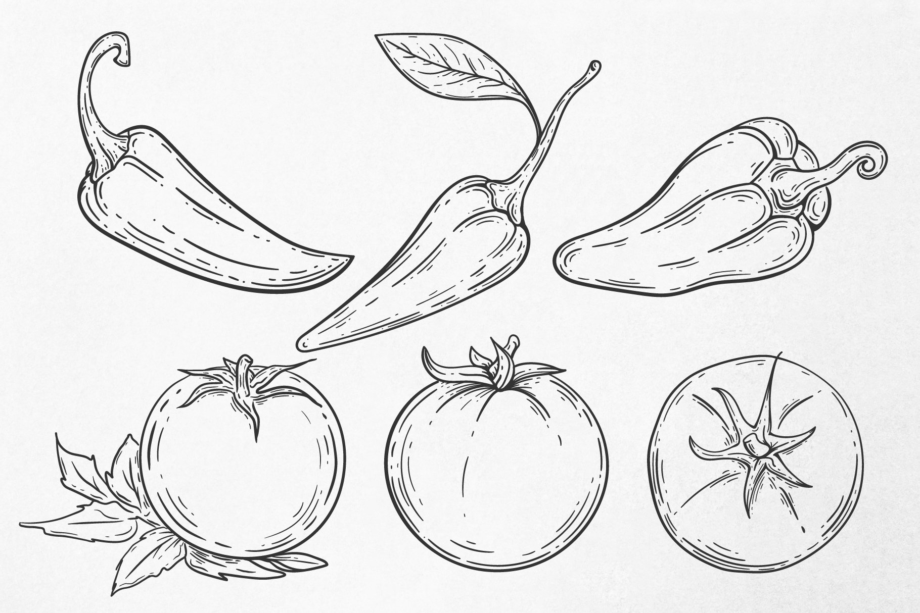 Sketch Of Fruit Stock Illustration - Download Image Now - Apple - Fruit,  Drawing - Activity, Drawing - Art Product - iStock