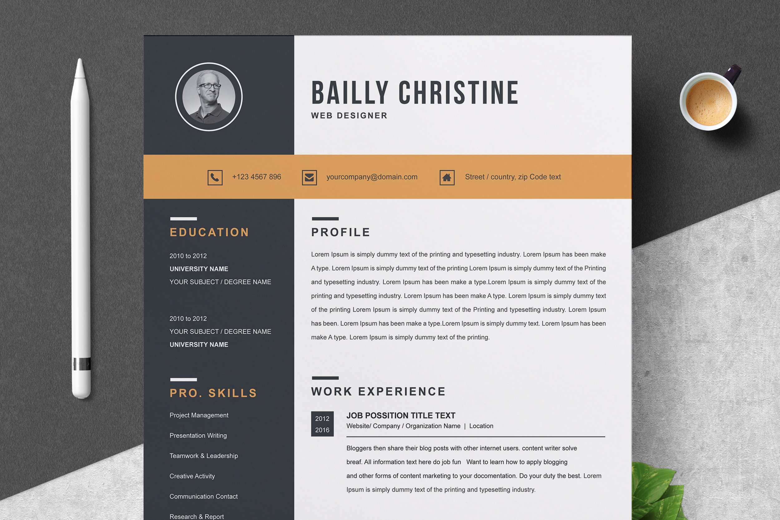 Resume Template For Web Designer - Design Cuts