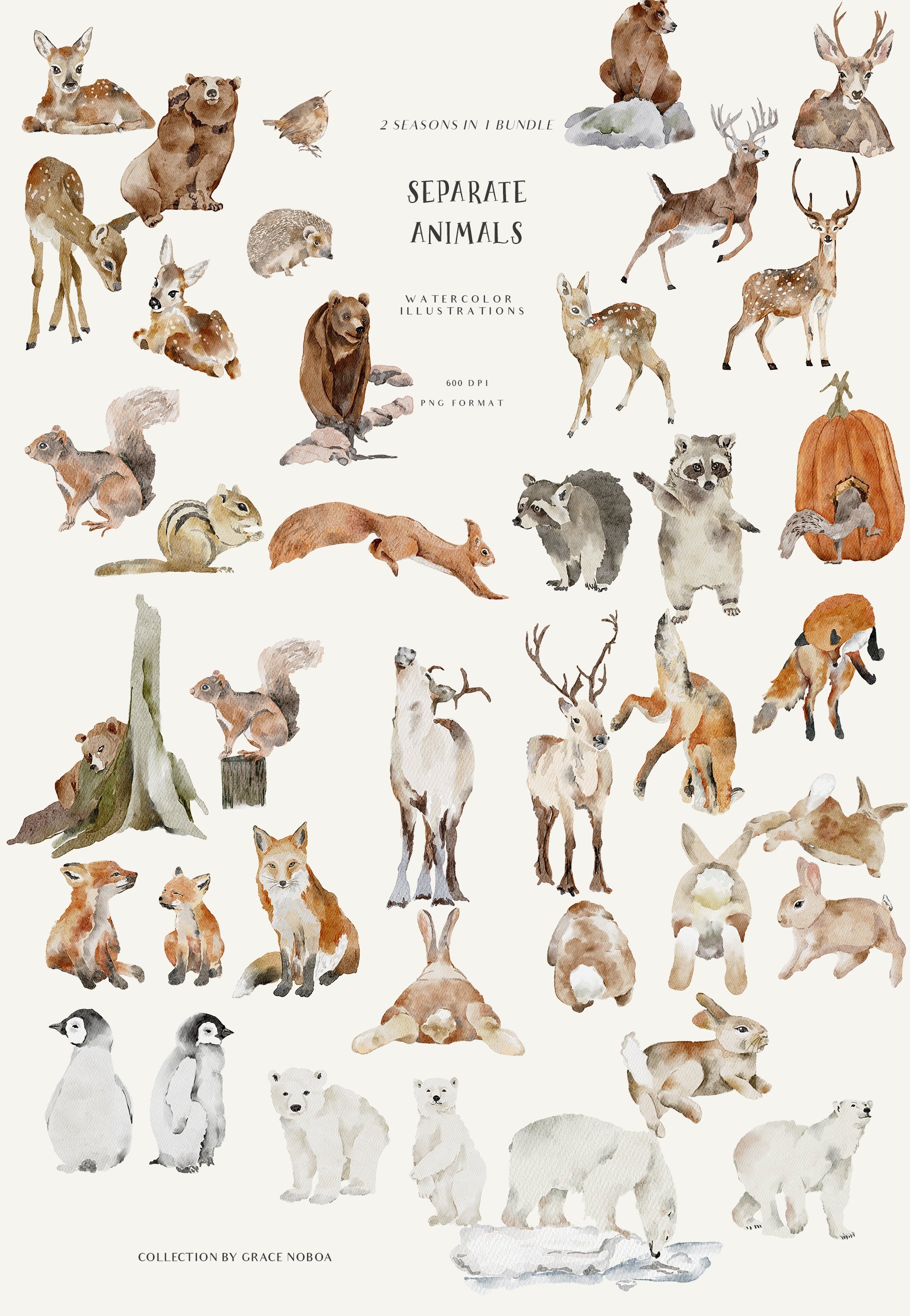 Fall & Winter Woodland Watercolor Animals Clipart - Design Cuts