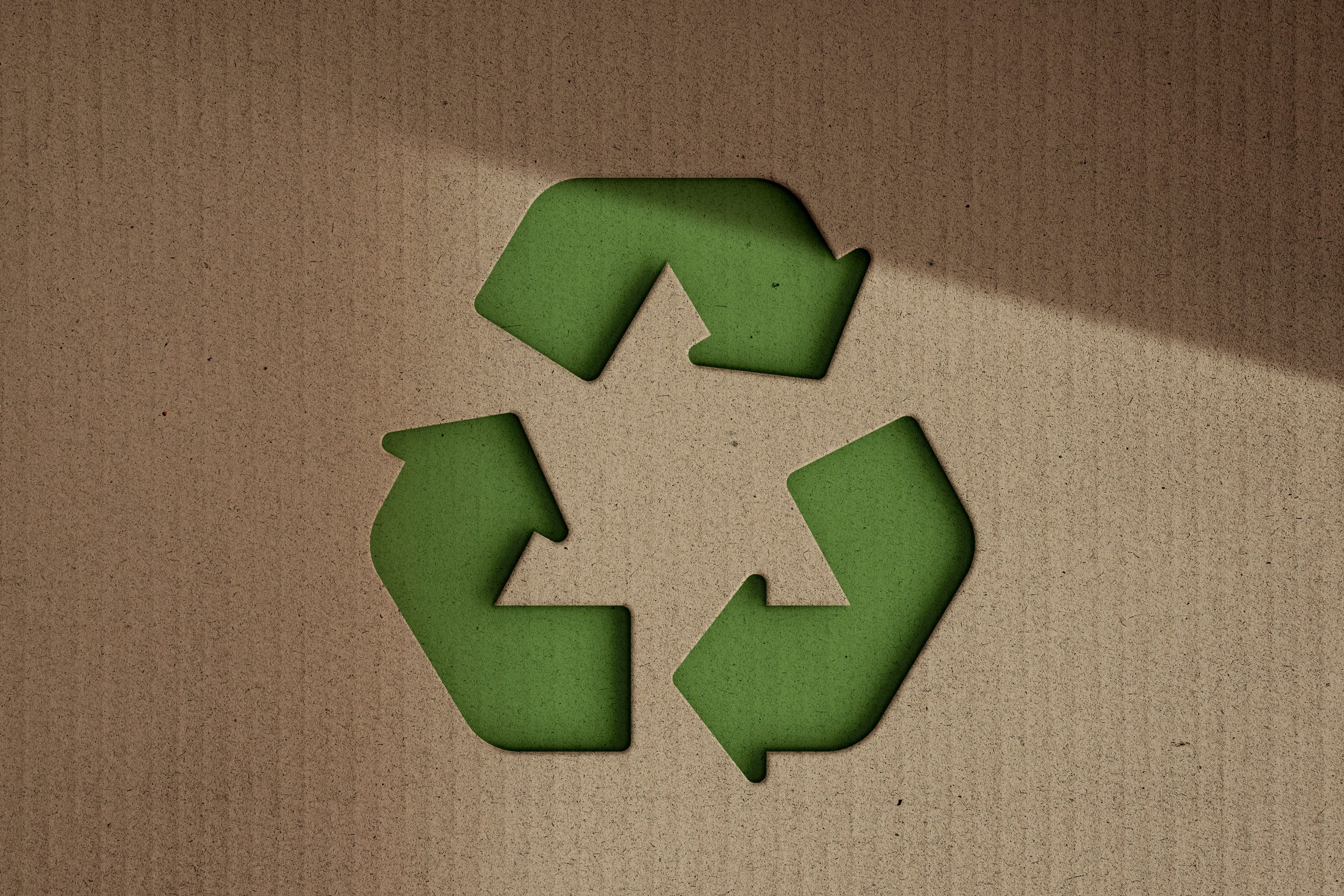 Cardboard Eco Cut Out Logo & Text Mockup - Design Cuts