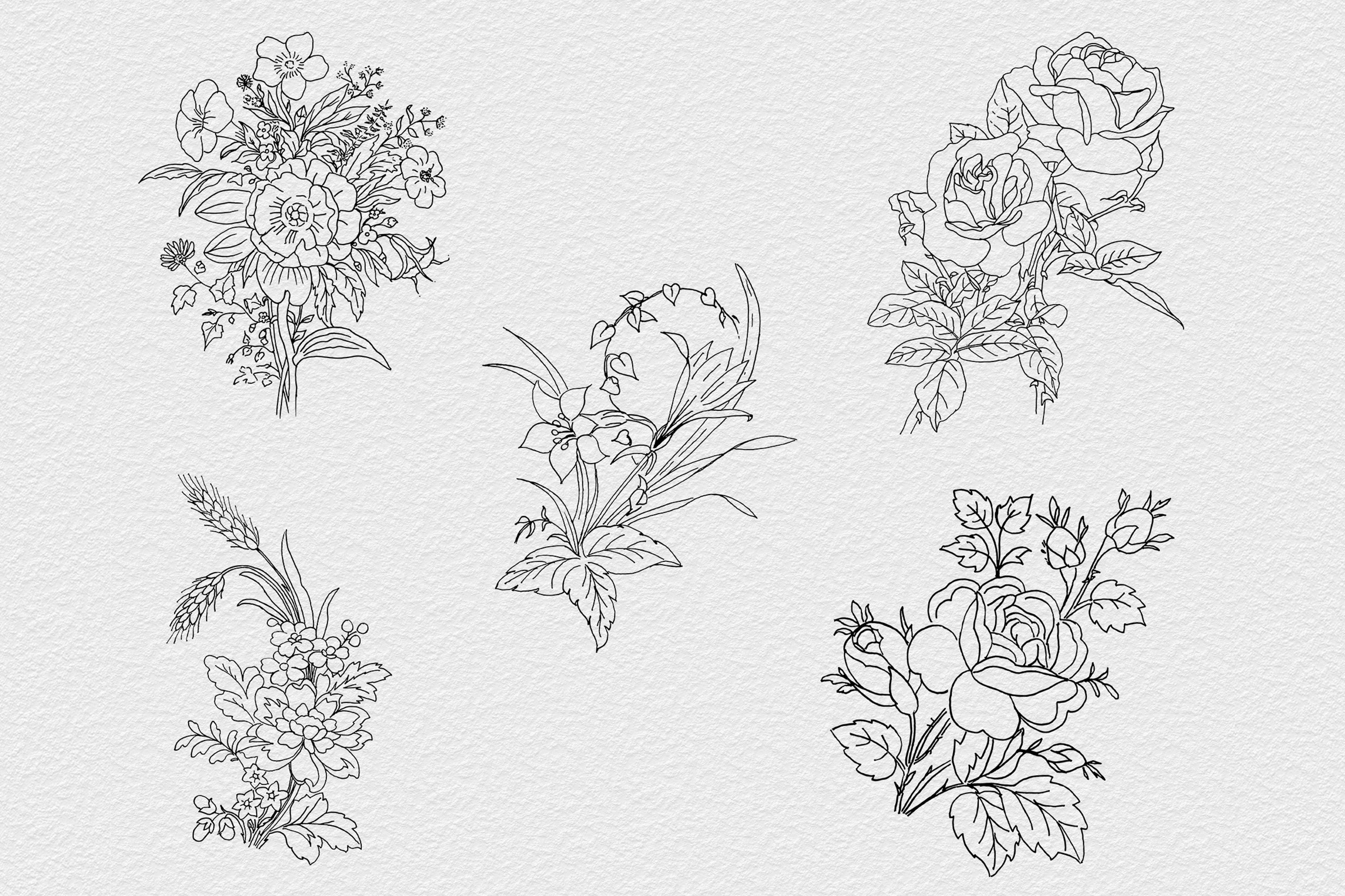 70 Botanical Line Art Illustrations - Design Cuts