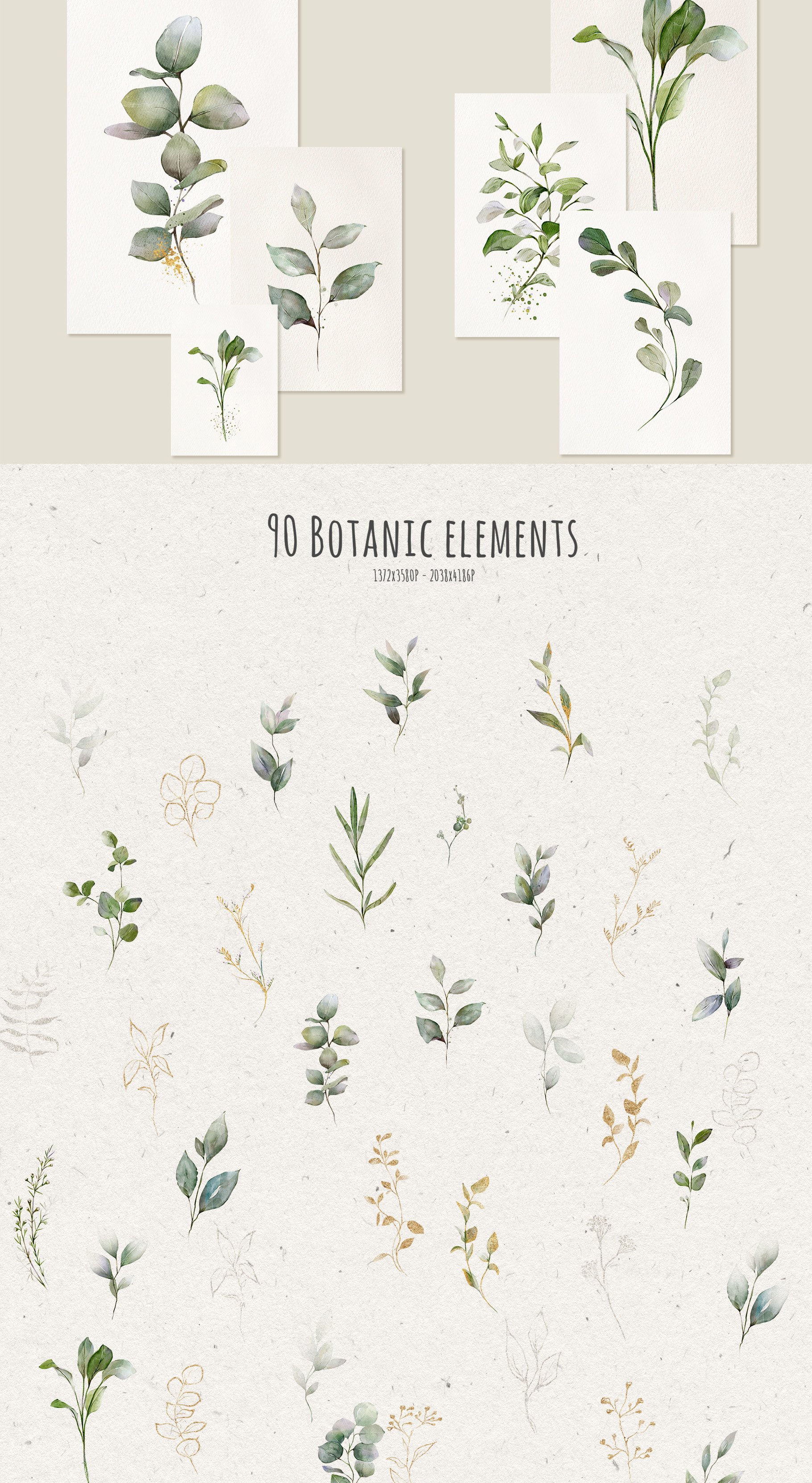 Watercolor Green Leaves Collection - Design Cuts