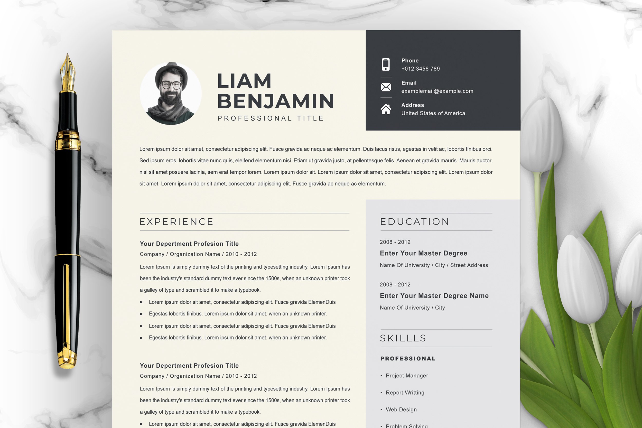 Professional Resume Template CV Template 5 - Design Cuts