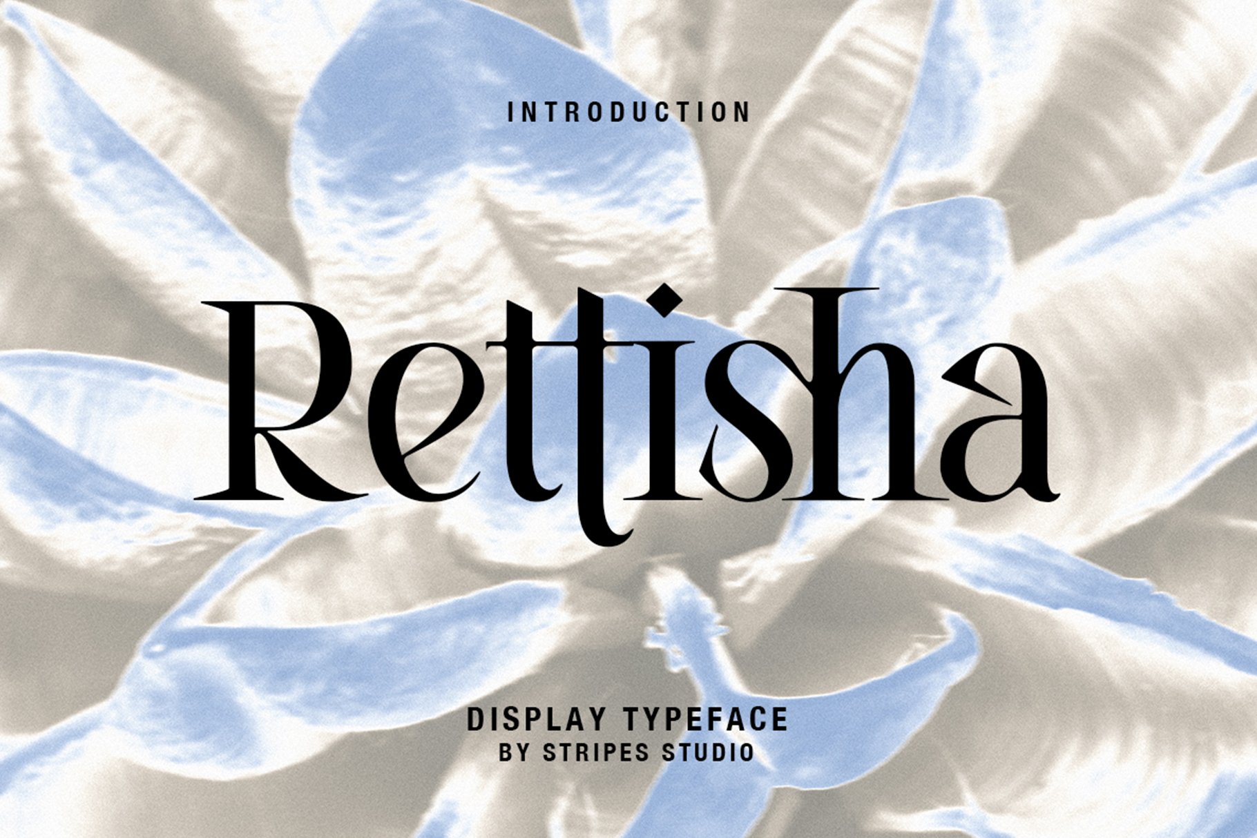 Rettisha Display - Design Cuts