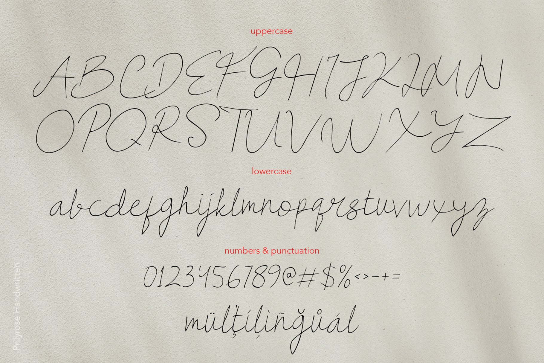 Prilyrose Handwritten Font - Design Cuts