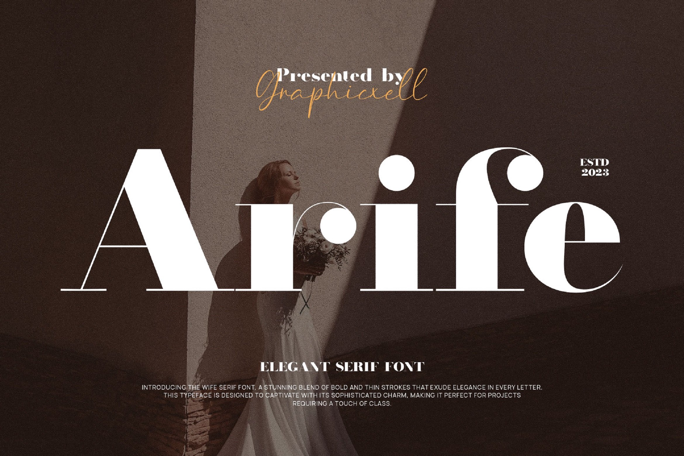 Arife Elegant Serif Font - Design Cuts