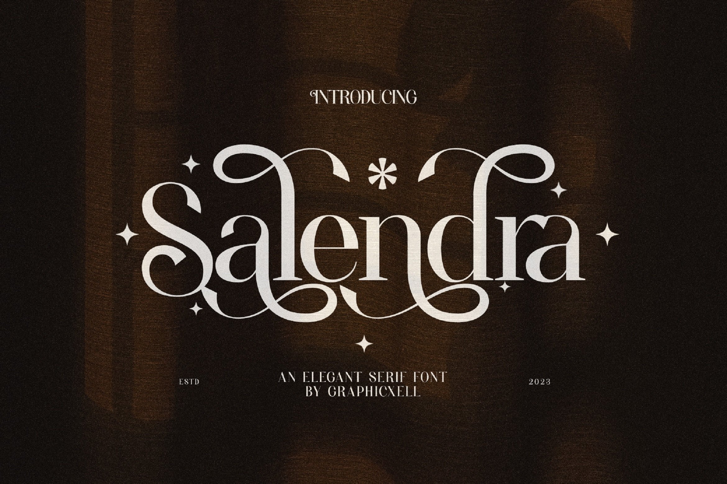 Salendra Elegant Ligature Serif - Design Cuts