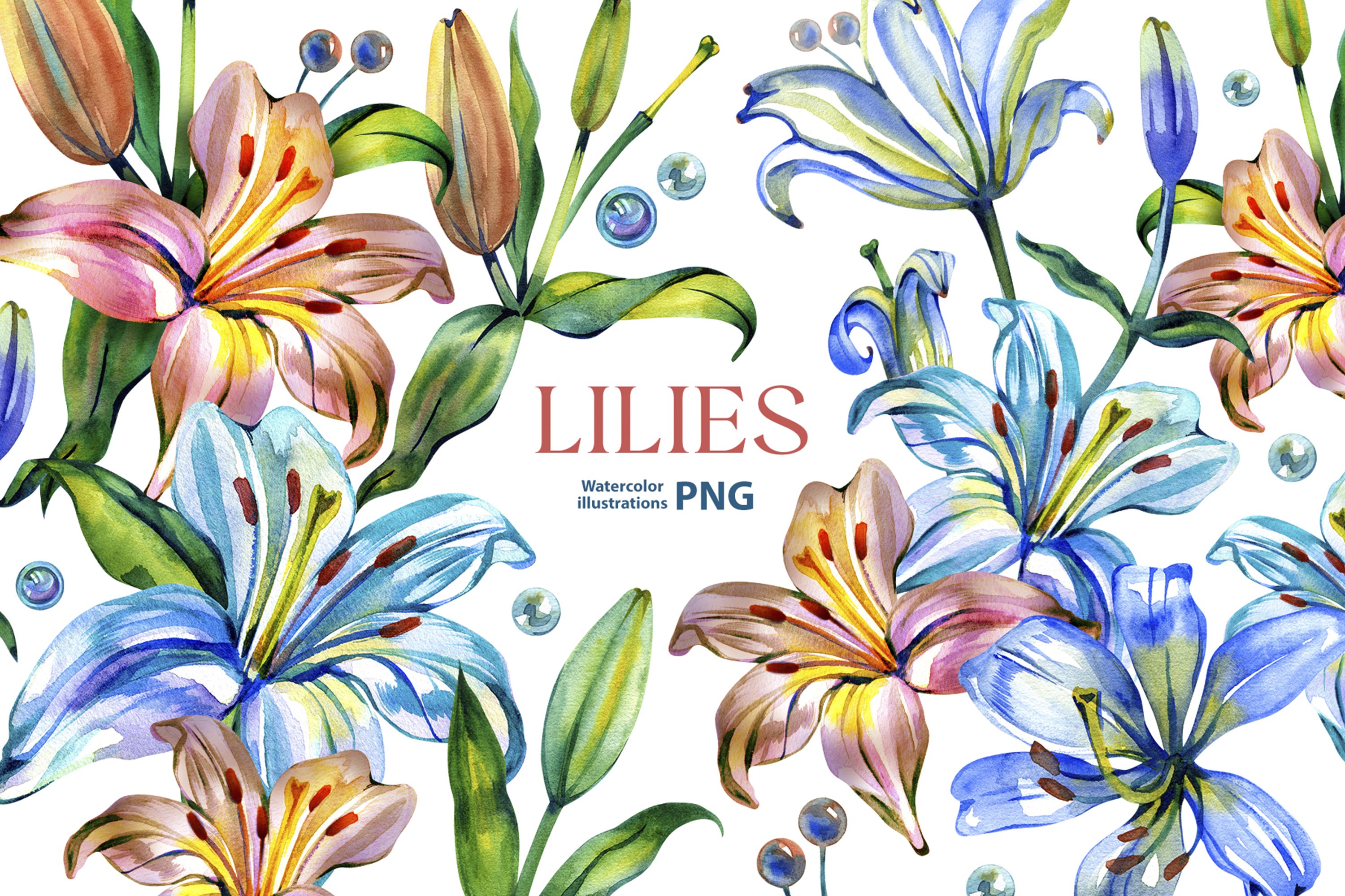 Watercolor Lilies PNG - Design Cuts