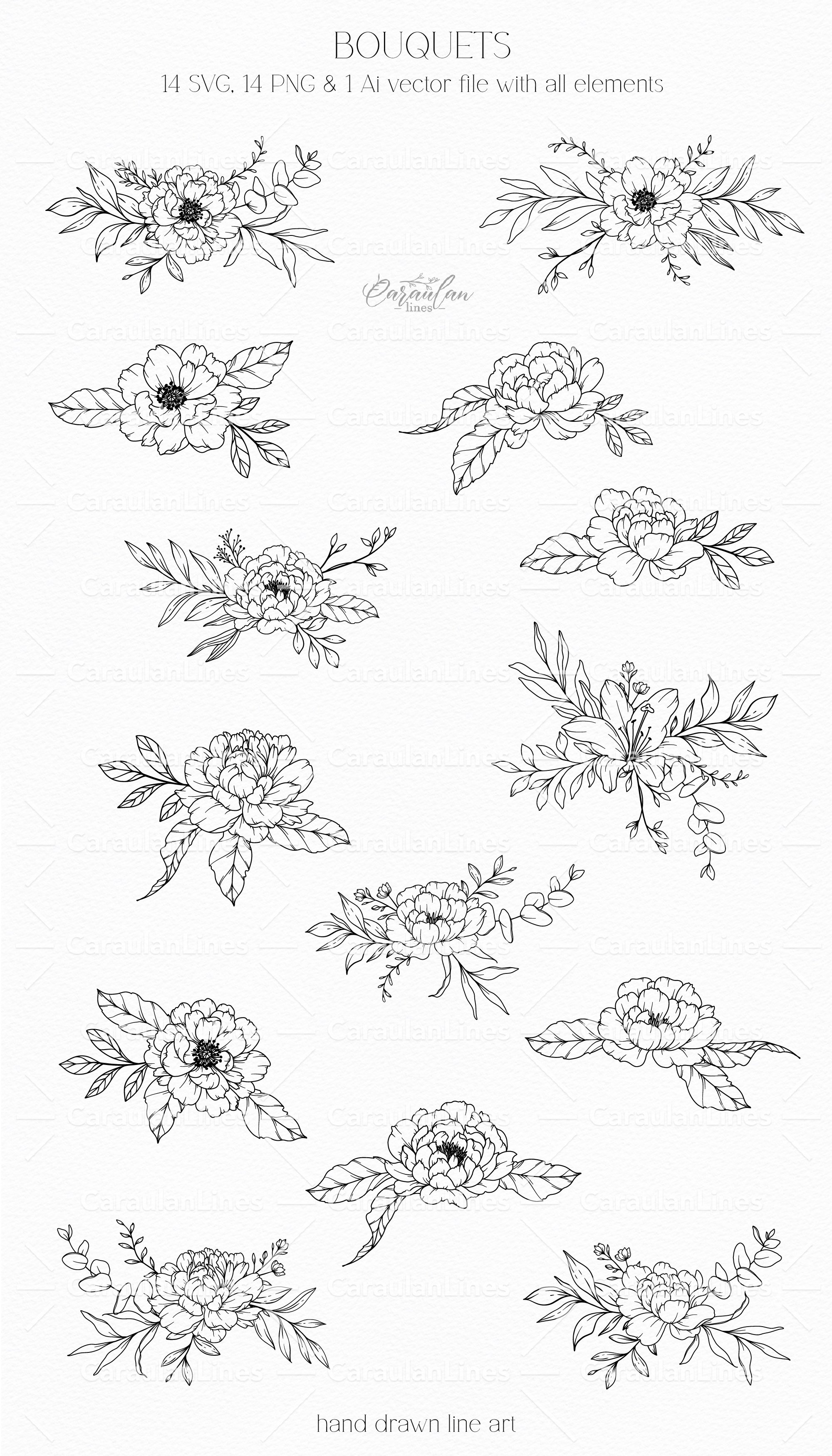 Peony Line Art Clipart - Design Cuts